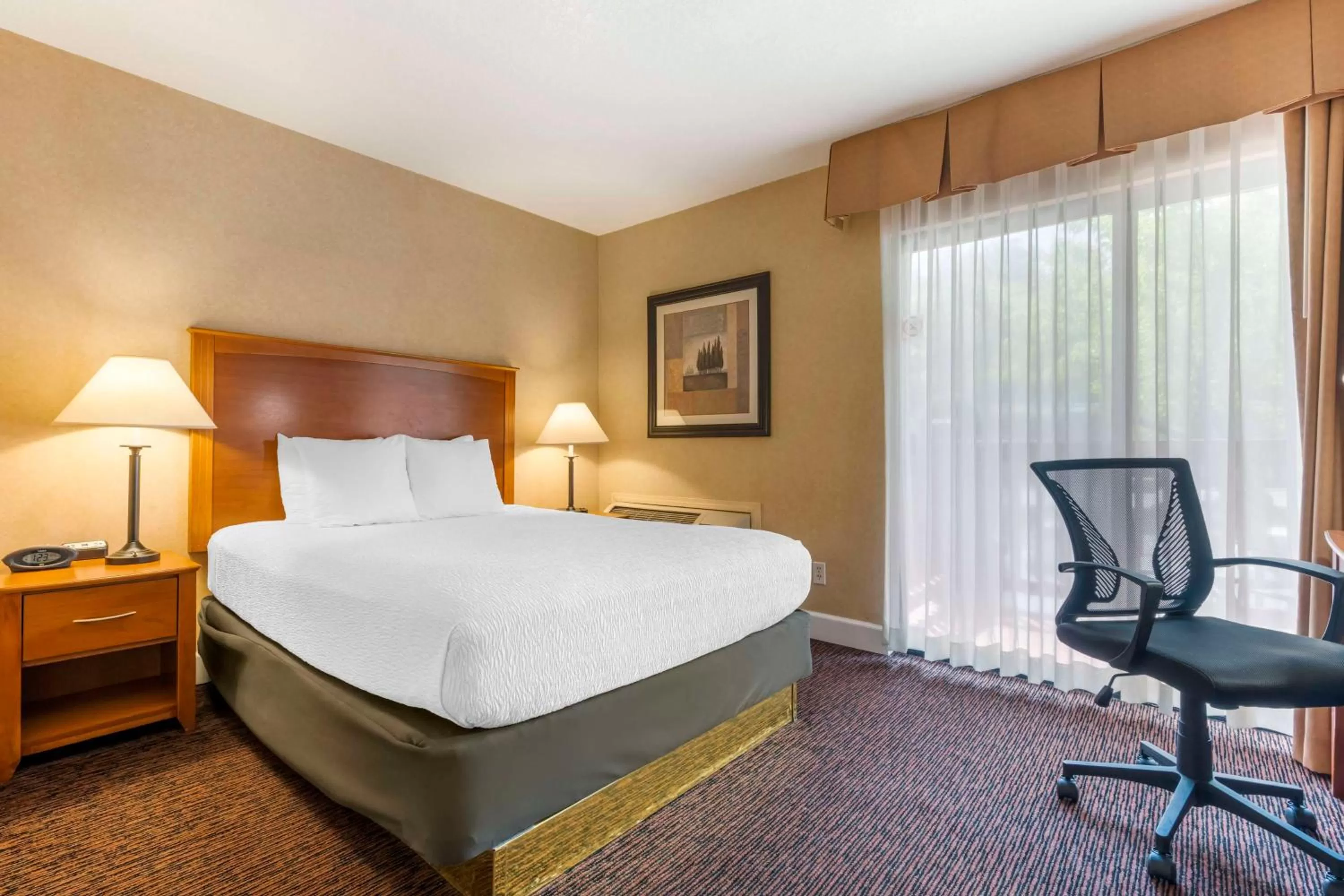 Mini Queen Suite with Sofa Bed - Non-Smoking in Best Western Plus Placerville Inn