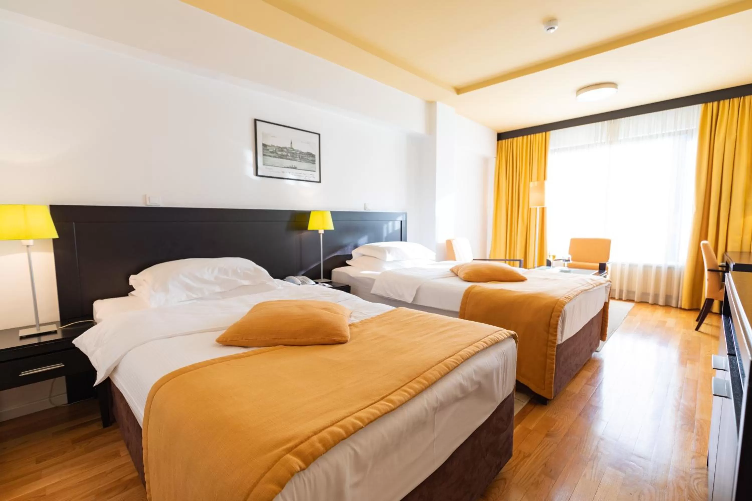 Premium Twin Room - single occupancy in Hotel M