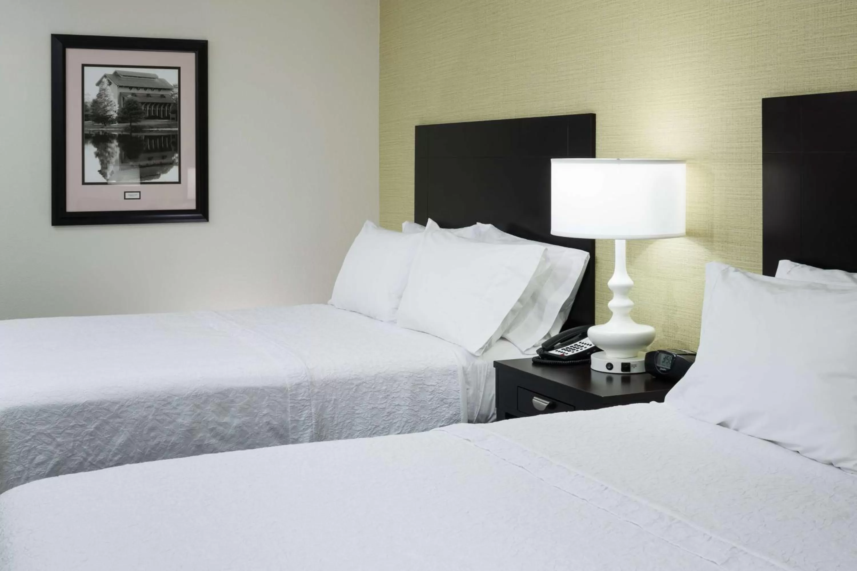Queen Room with Two Queen Beds - Mobility Access/Non-Smoking in Hampton Inn & Suites Gainesville Downtown