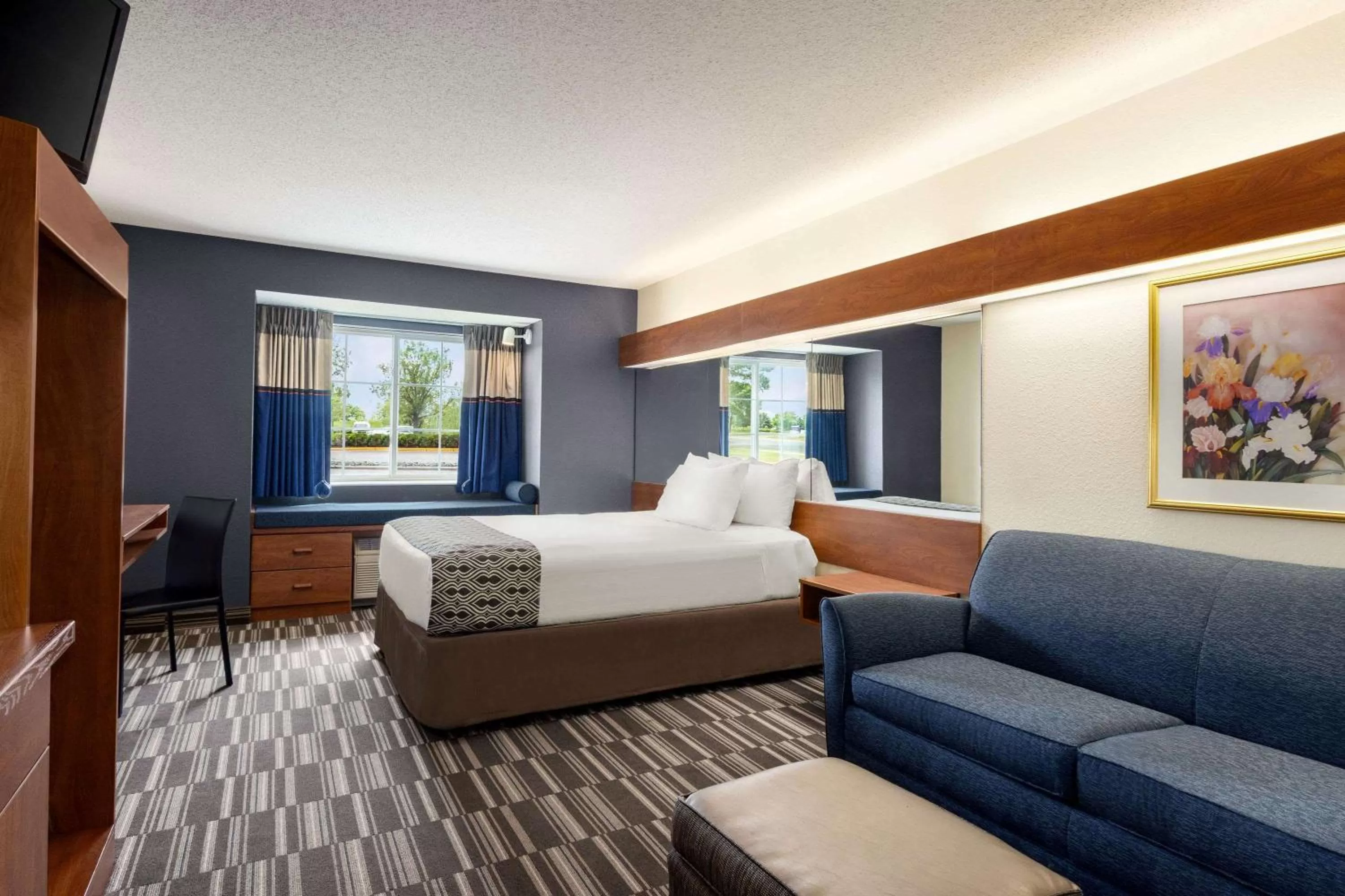 Superior Queen Room - Disability Access - Non-Smoking in Microtel Inn and Suites - Inver Grove Heights
