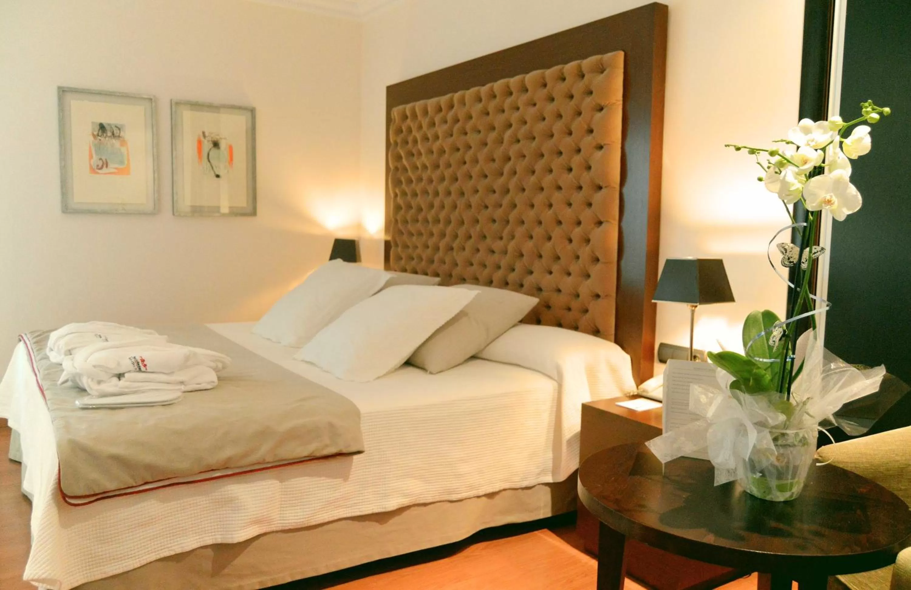 Deluxe Double Room with Spa Bath  in FC Infantas de León