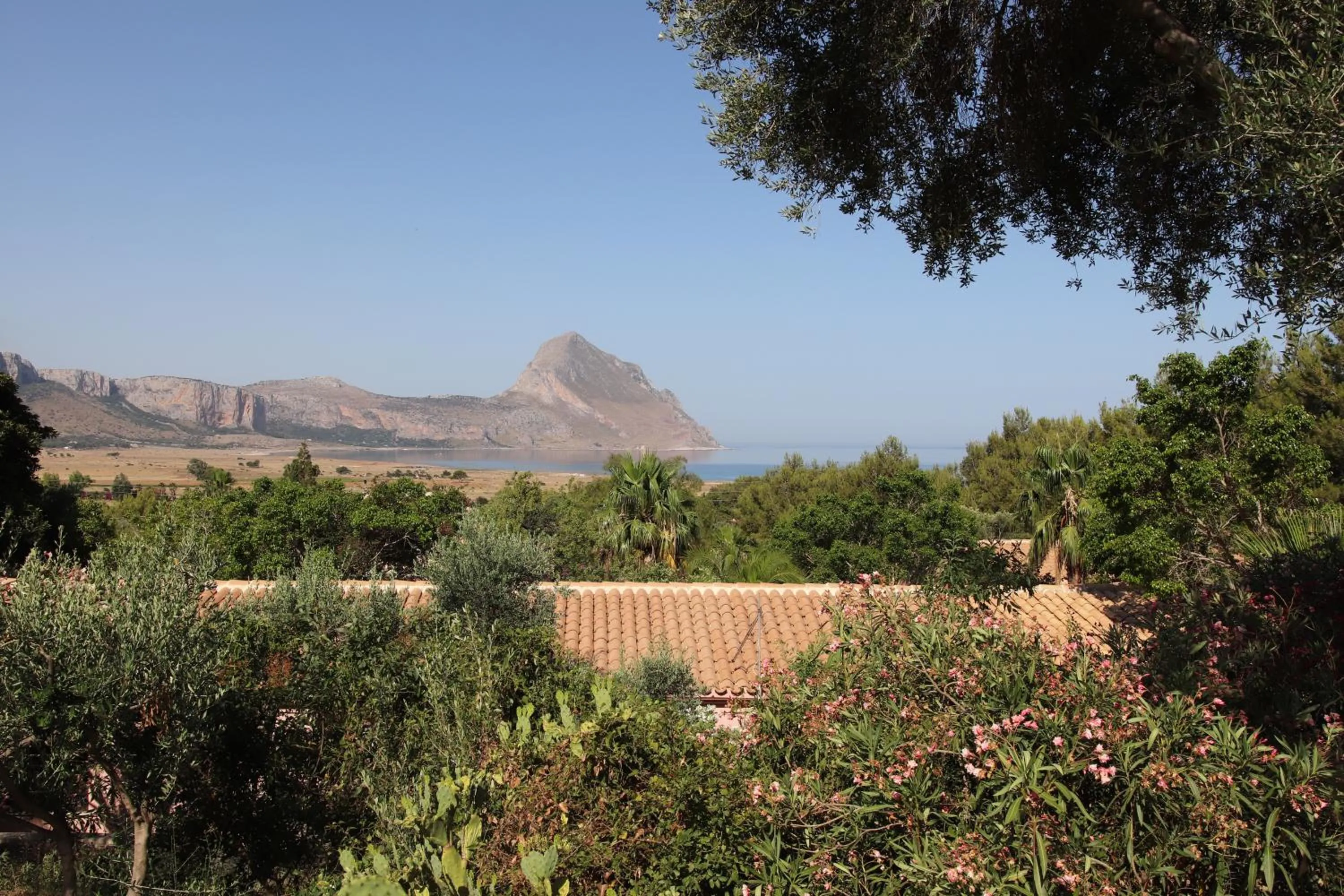 Double Room with Sea View in Cala Dell'Arena