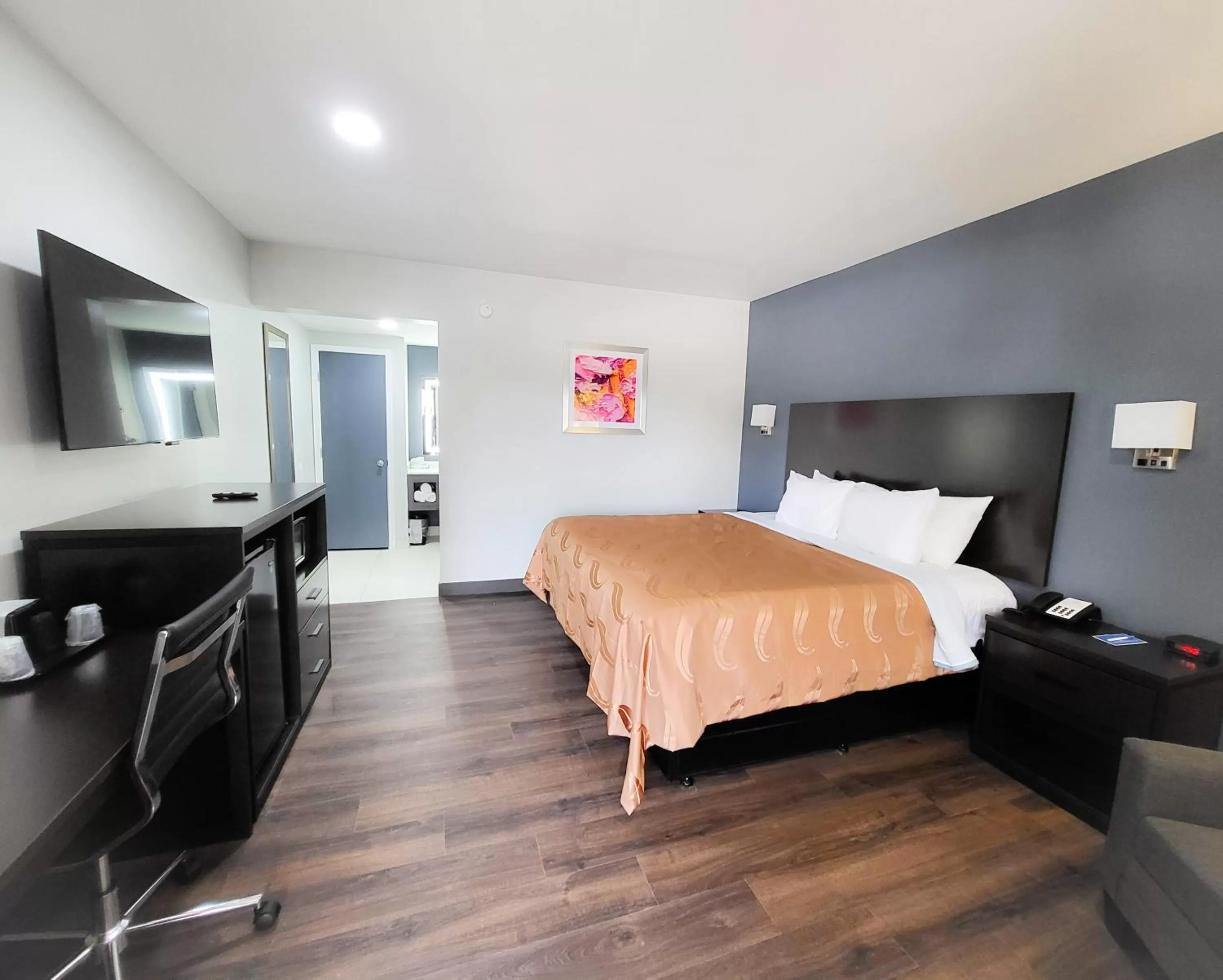 King Room - Accessible/Non-Smoking in Rodeway Inn Norfolk