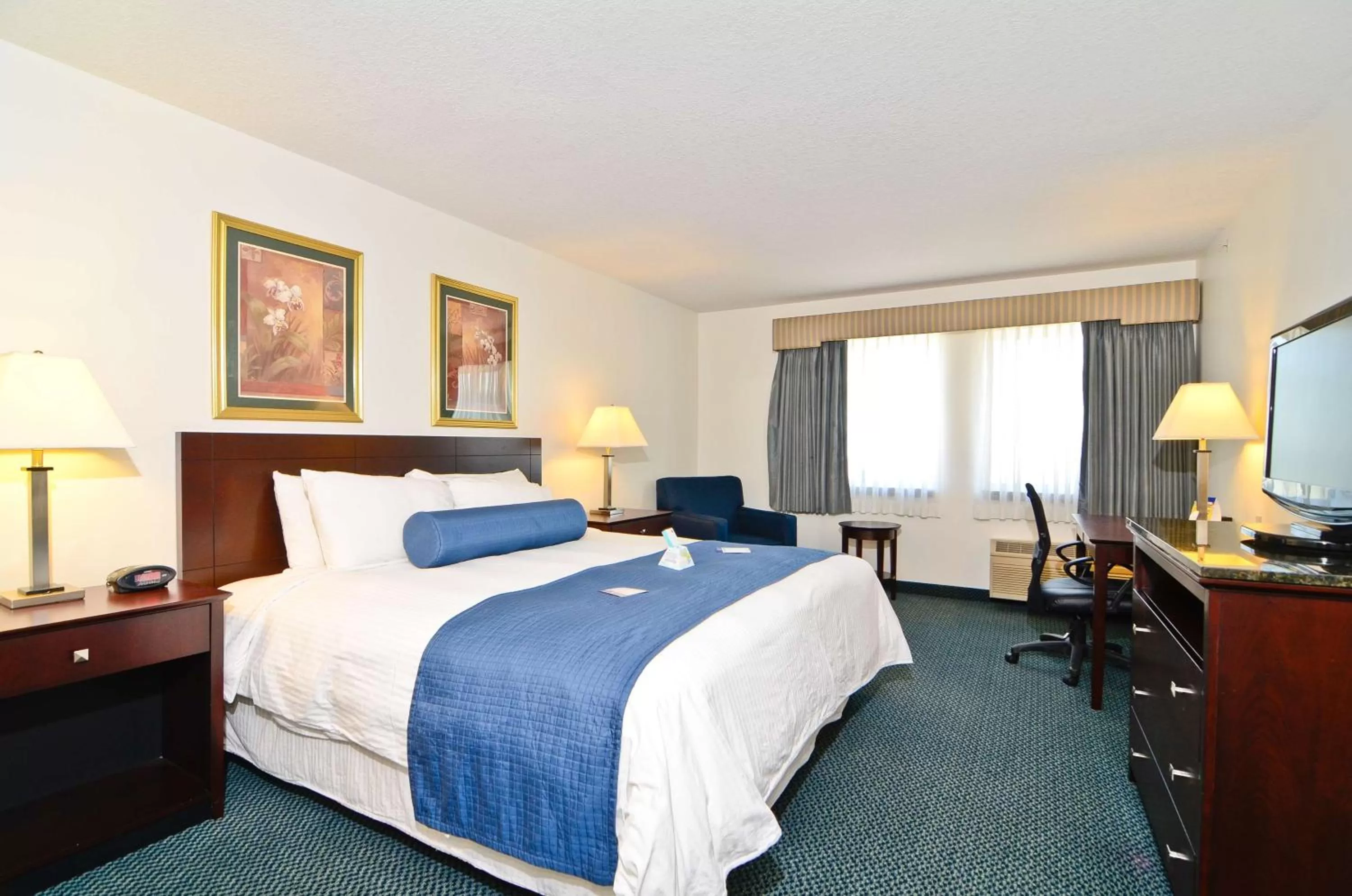 King Room with Roll In Shower - Non-Smoking/Disability Access in Best Western Plus Gas City