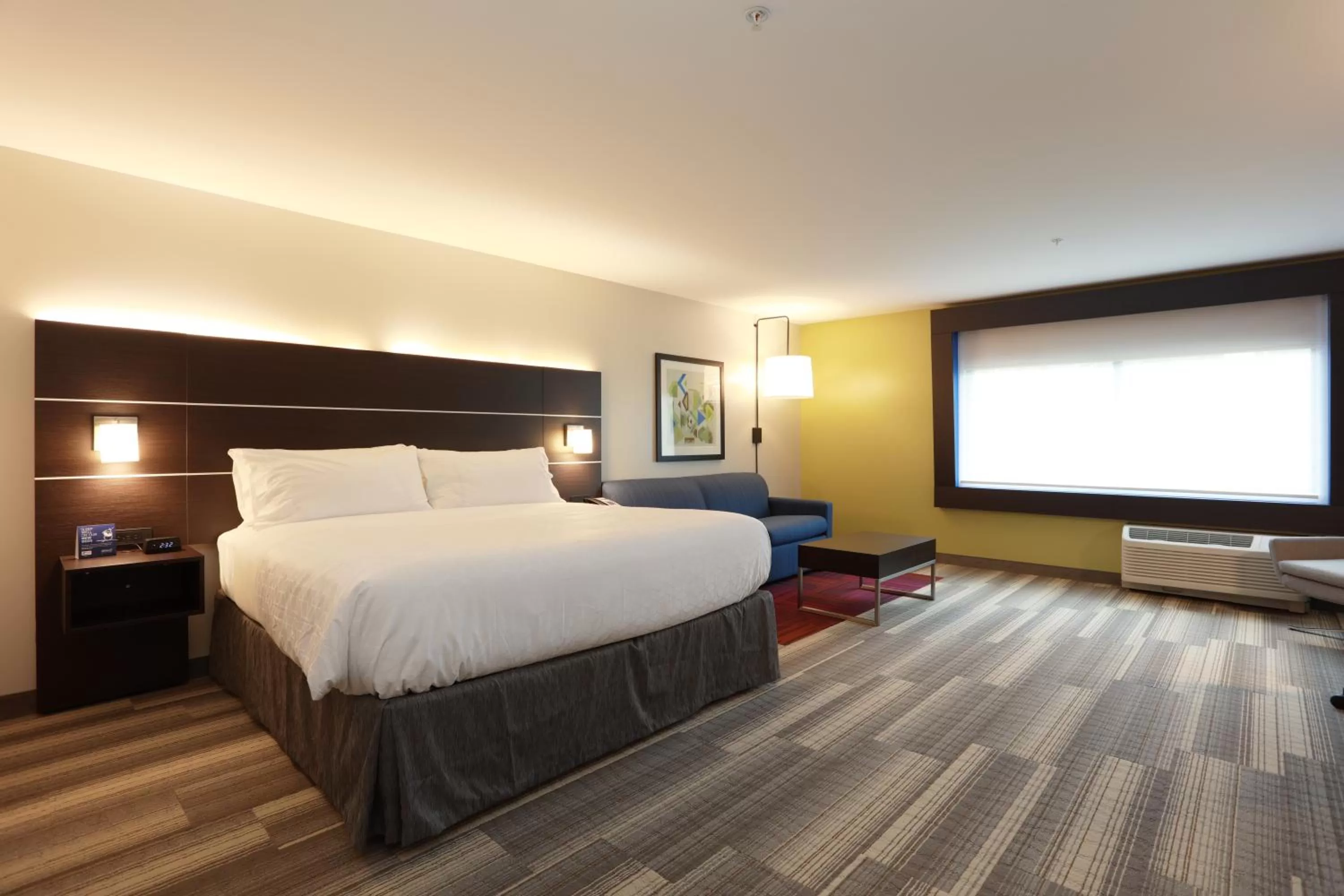 Deluxe King Room - Hearing Accessible  in Holiday Inn Express Oneonta by IHG