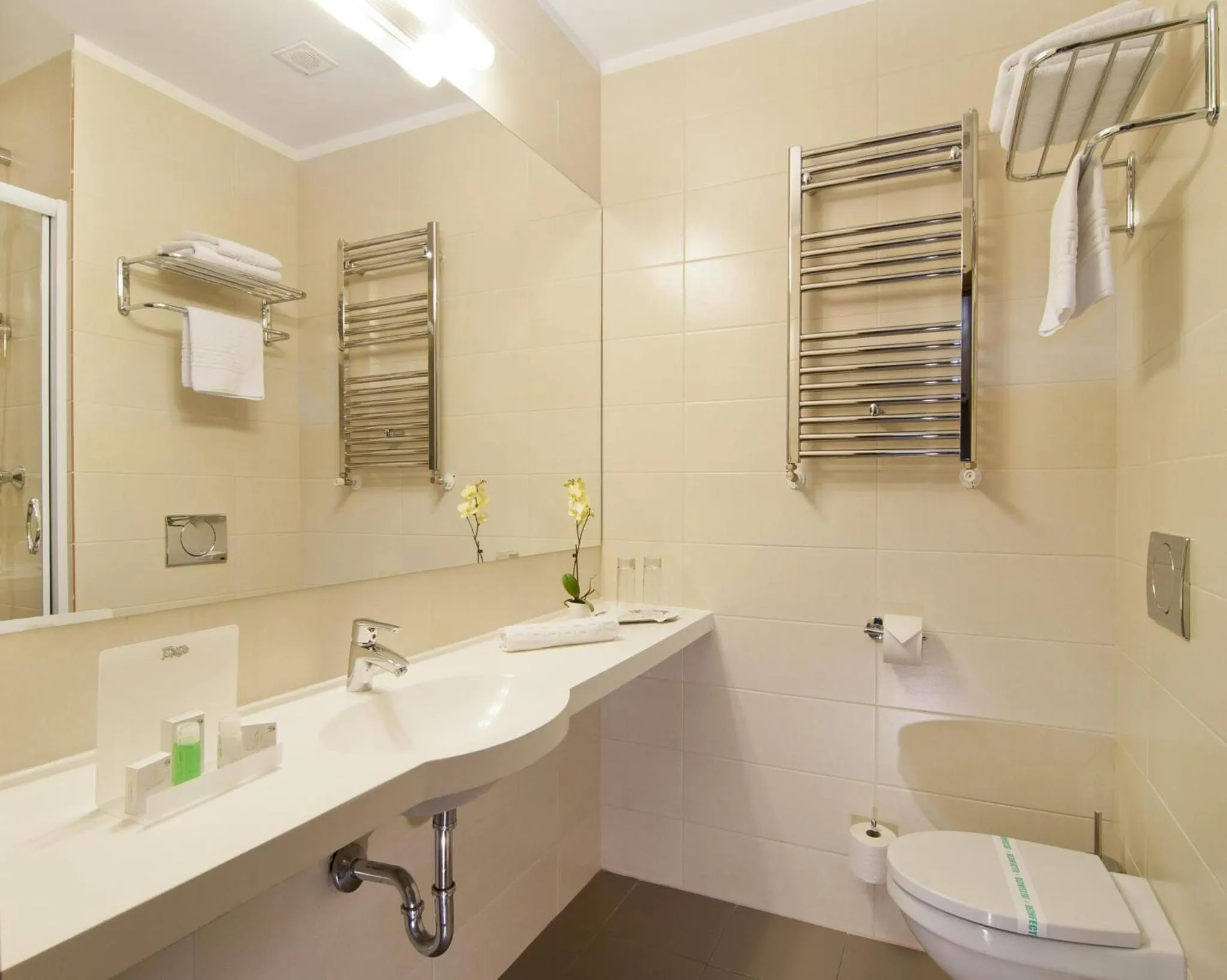 2 Twin Beds Room - single occupancy in Wyndham Cluj