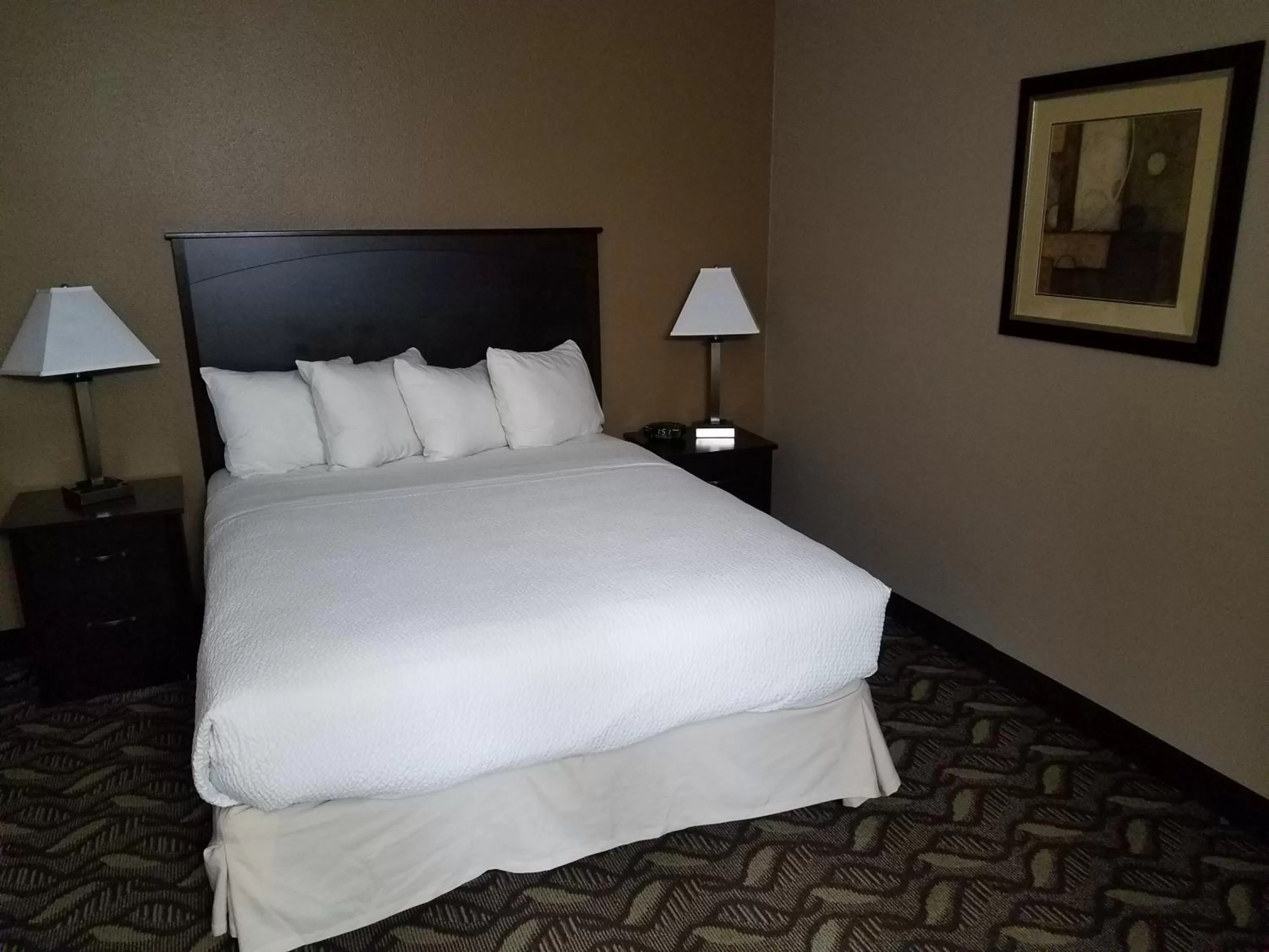 One Queen Bed Executive Non-Smoking in Americas Best Value Inn and Suites Bismarck