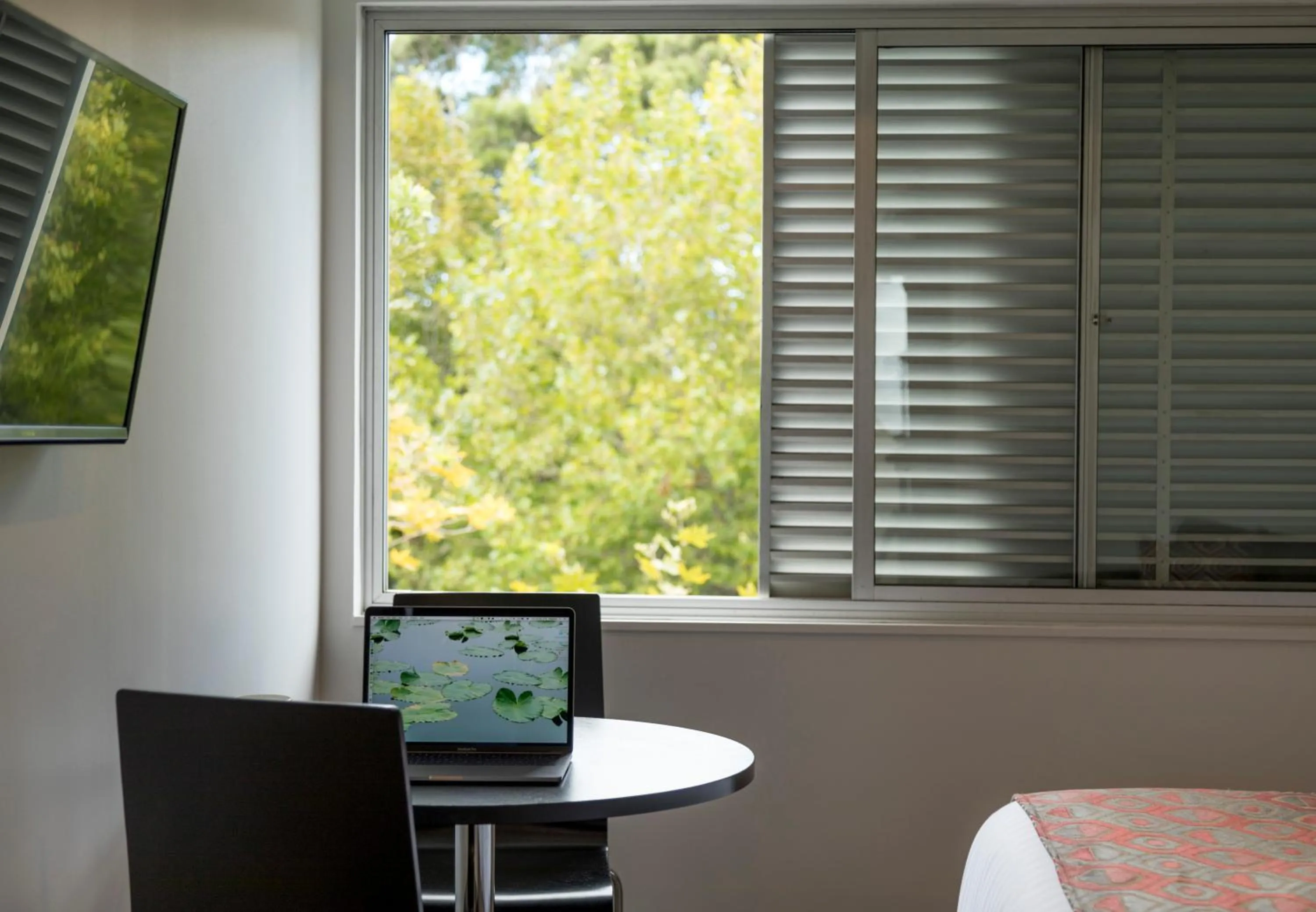 Studio in Quest Ponsonby Serviced Apartments