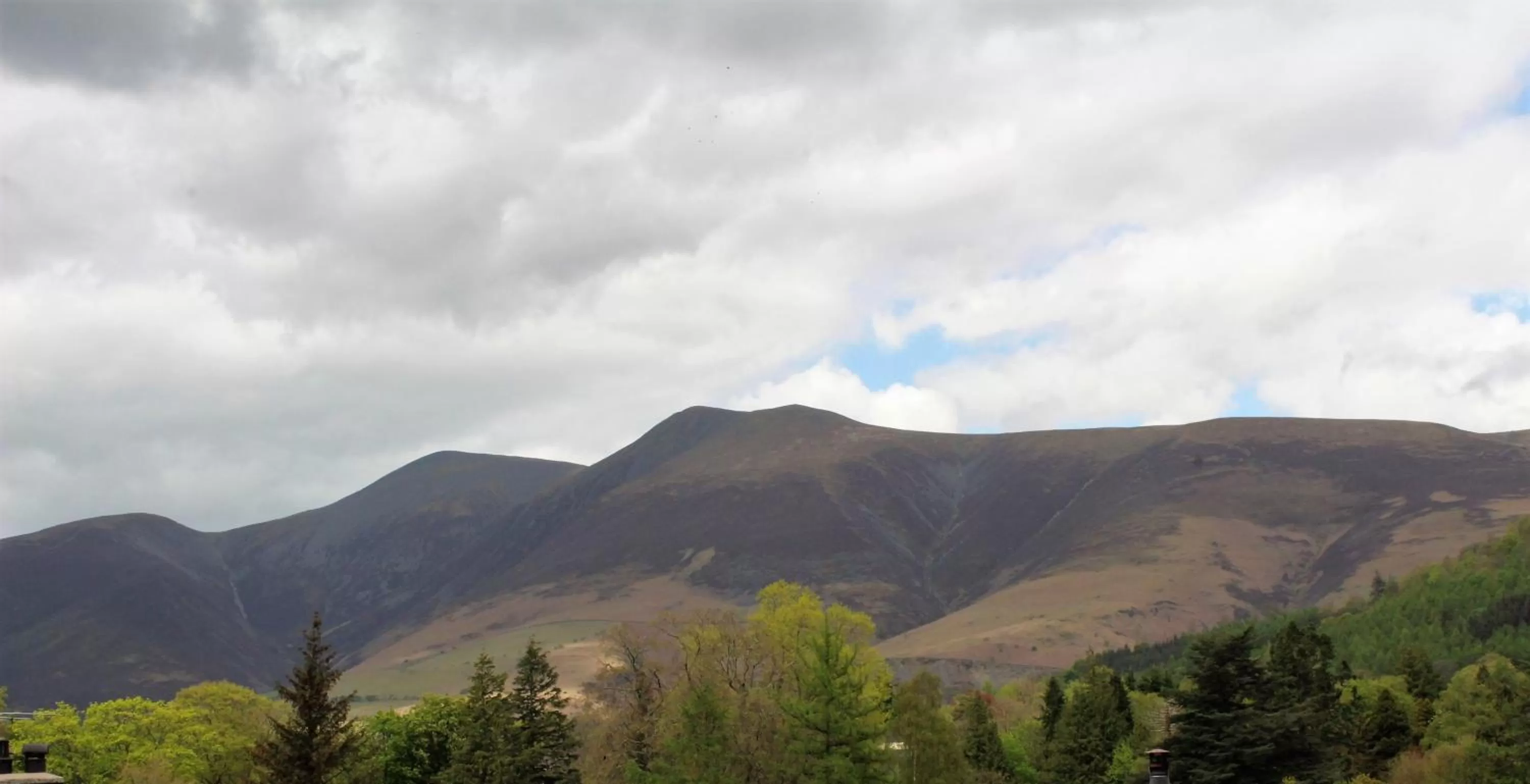 Deluxe Twin Room in Eden Green Guest House