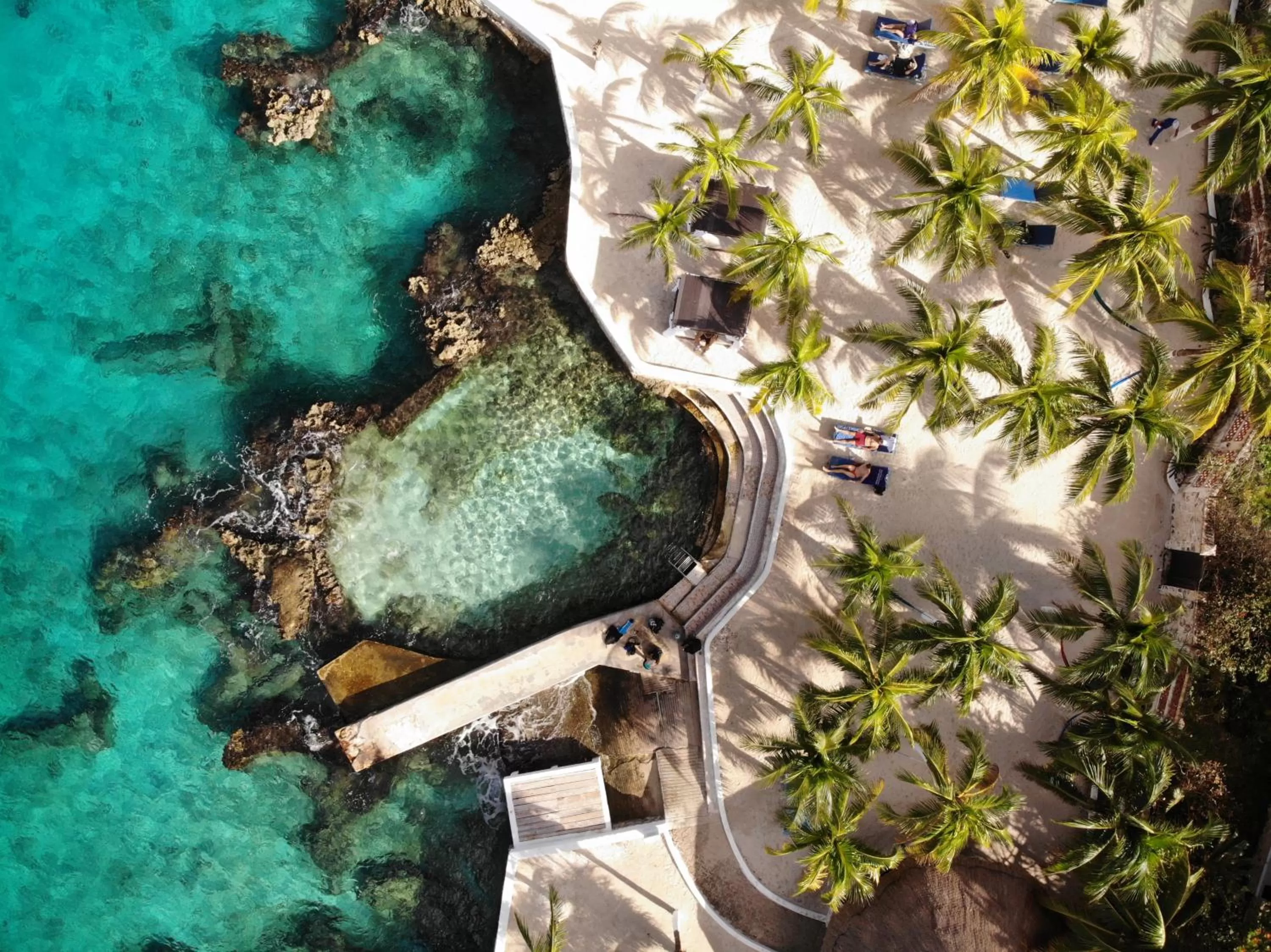 Cozumel Hotel & Resort All Inclusive