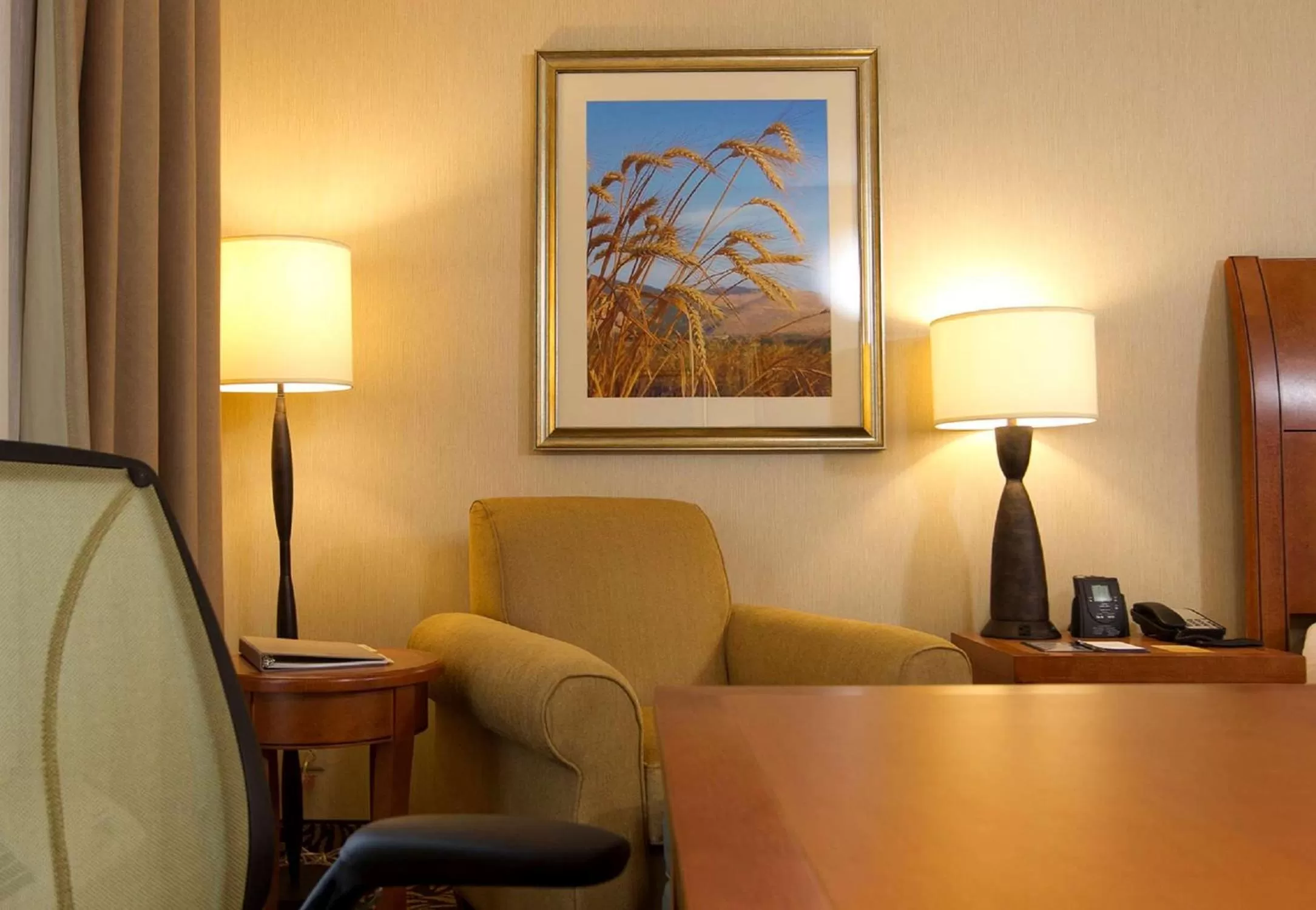 King Room with King Bed - Non-Smoking in Hilton Garden Inn Cedar Falls Conference Center