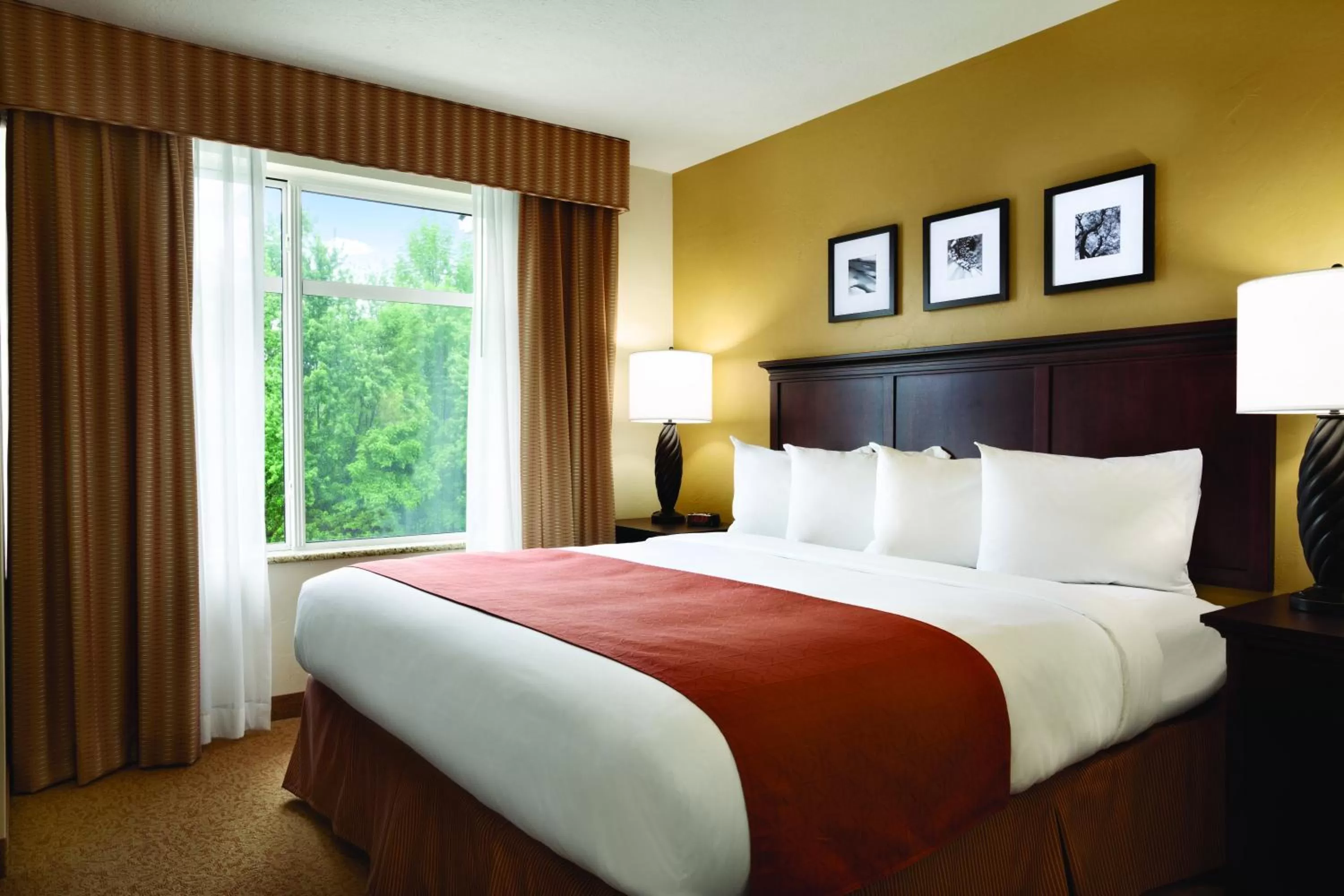King Room with Roll-In Shower - Disability Access in Spark by Hilton California Lexington Park