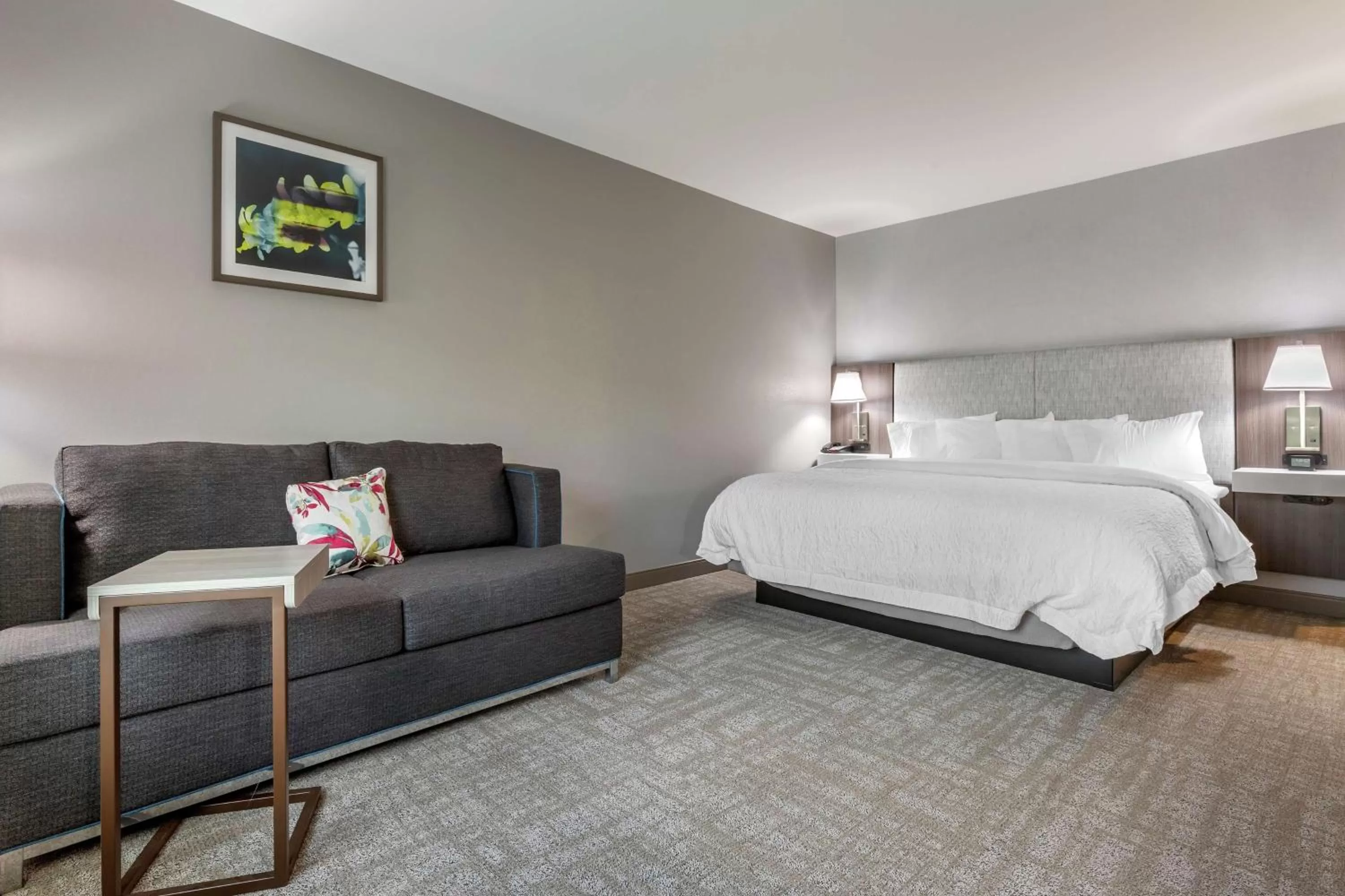 King Room with Sofa Bed - Non-Smoking in Hampton Inn Camden, SC