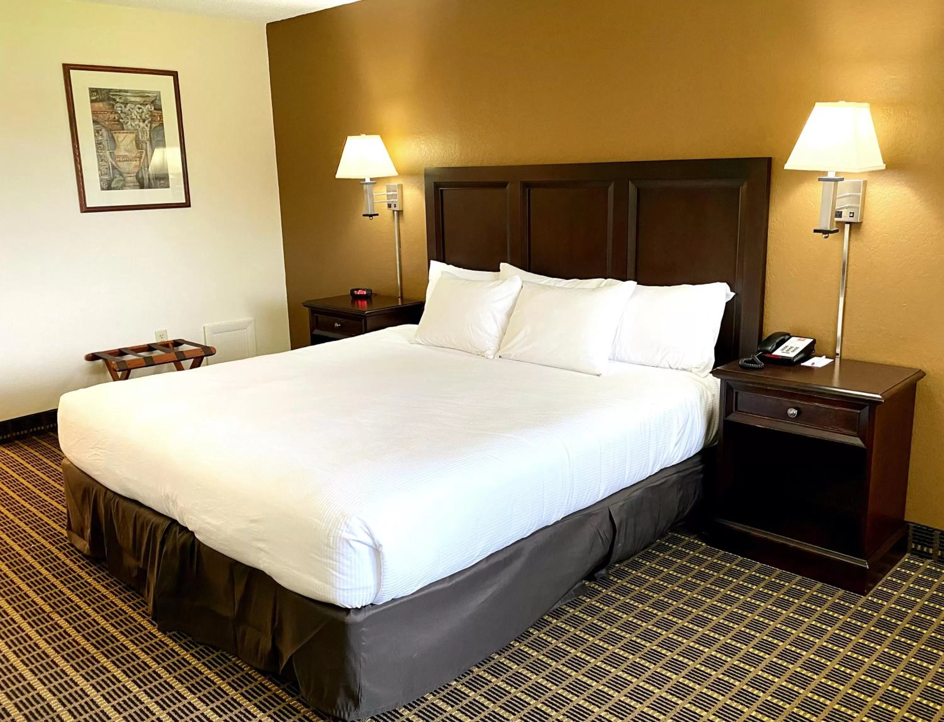 King Room in Roadstar Hotel Zephyrhills