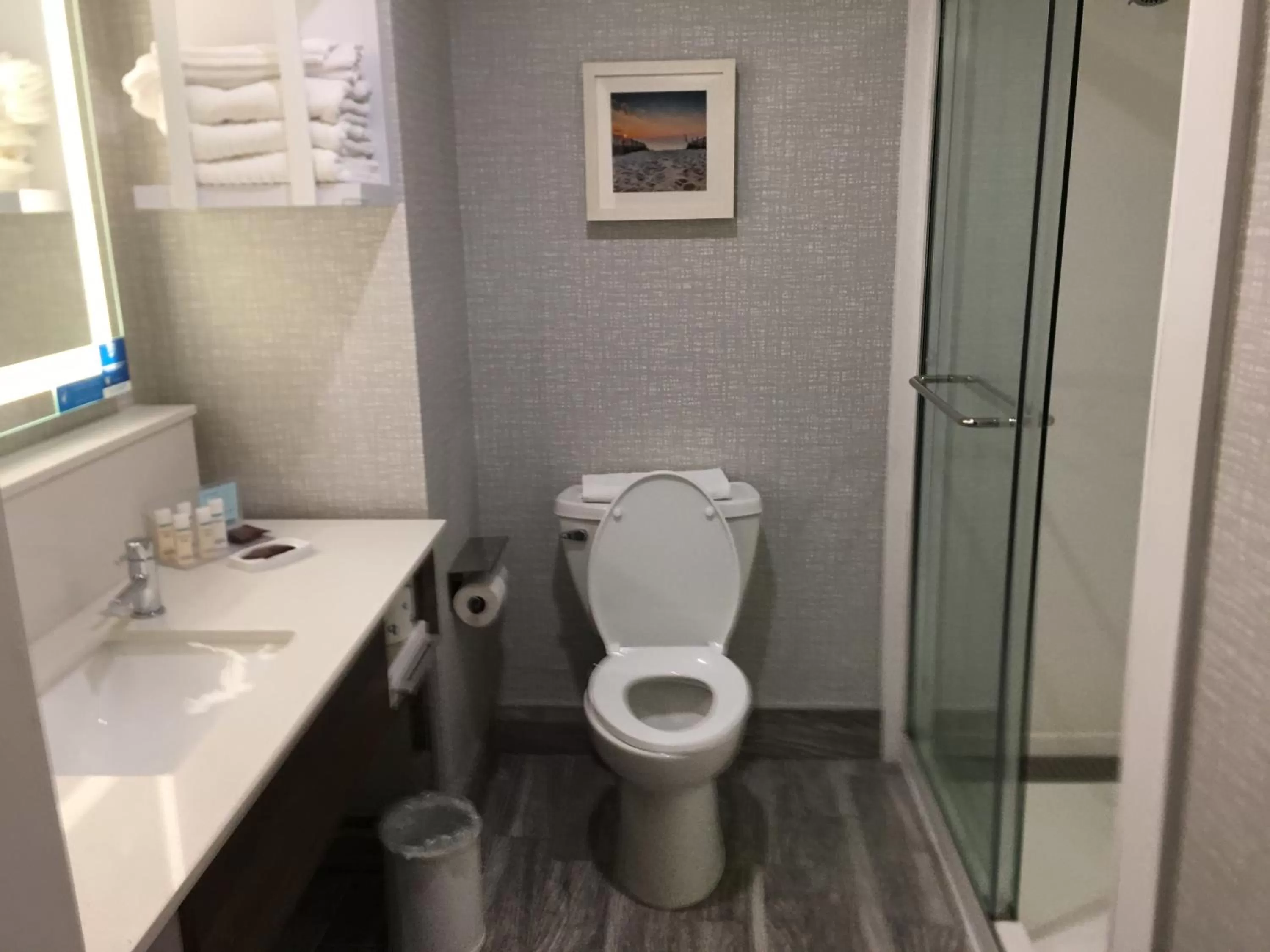 King Room with ADA Shower - Mobility/Hearing Accessible in Hampton Inn Old Bridge NJ