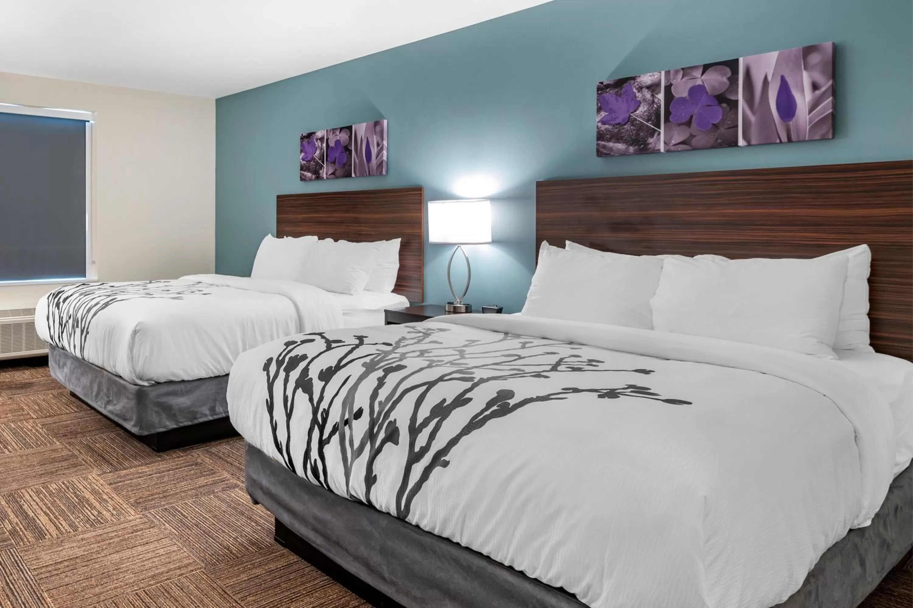 Standard Queen Room with Two Queen Beds - Non Smoking  in Sleep Inn