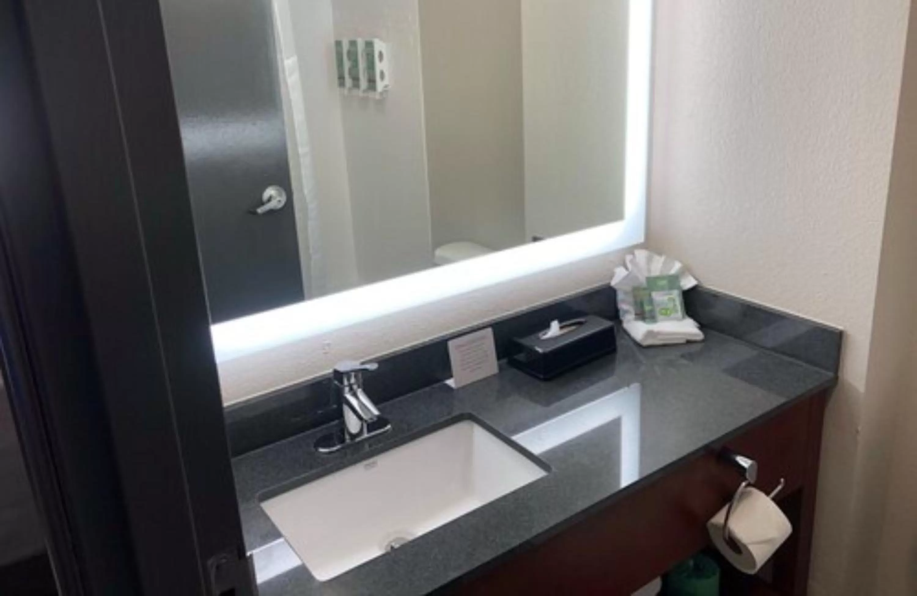 King Room - Disability Access - Poolside in Best Western Lexington Inn