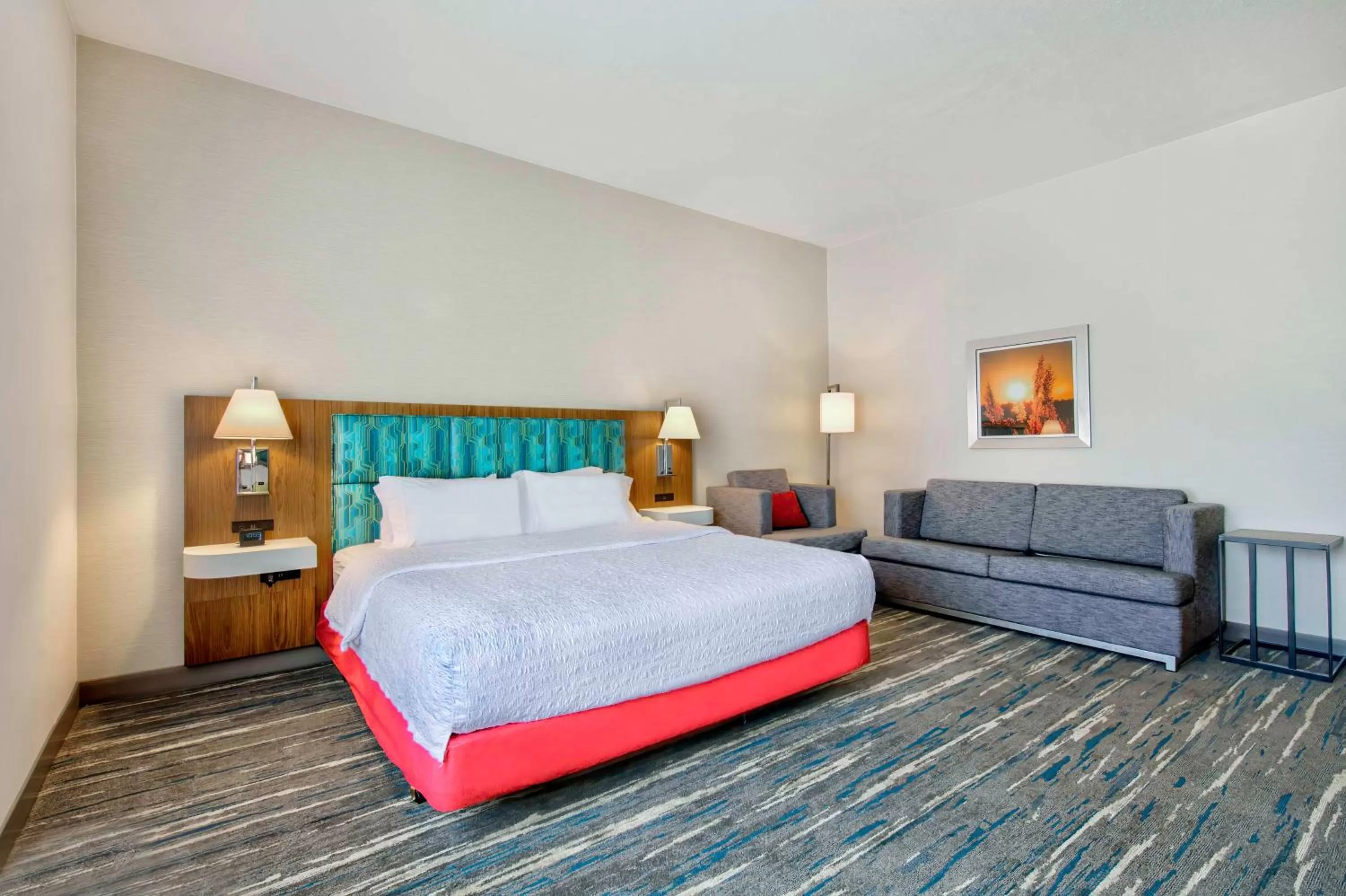 King Studio with Roll-In Shower - Mobility Access/Non-Smoking in Hampton Inn Cortland