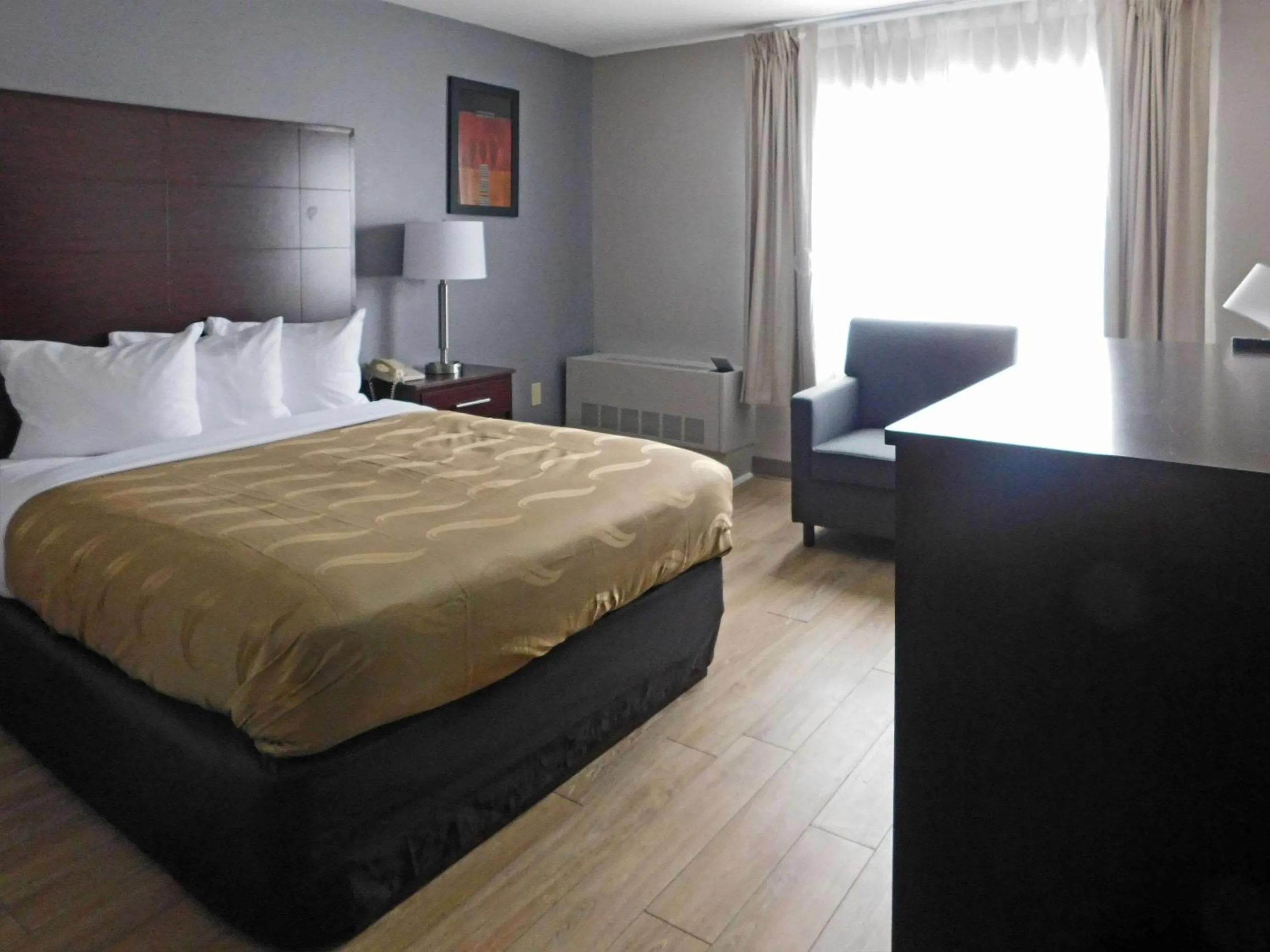 Queen Room Pet Friendly - Accessible/Non-Smoking in Quality Inn Colchester - Burlington