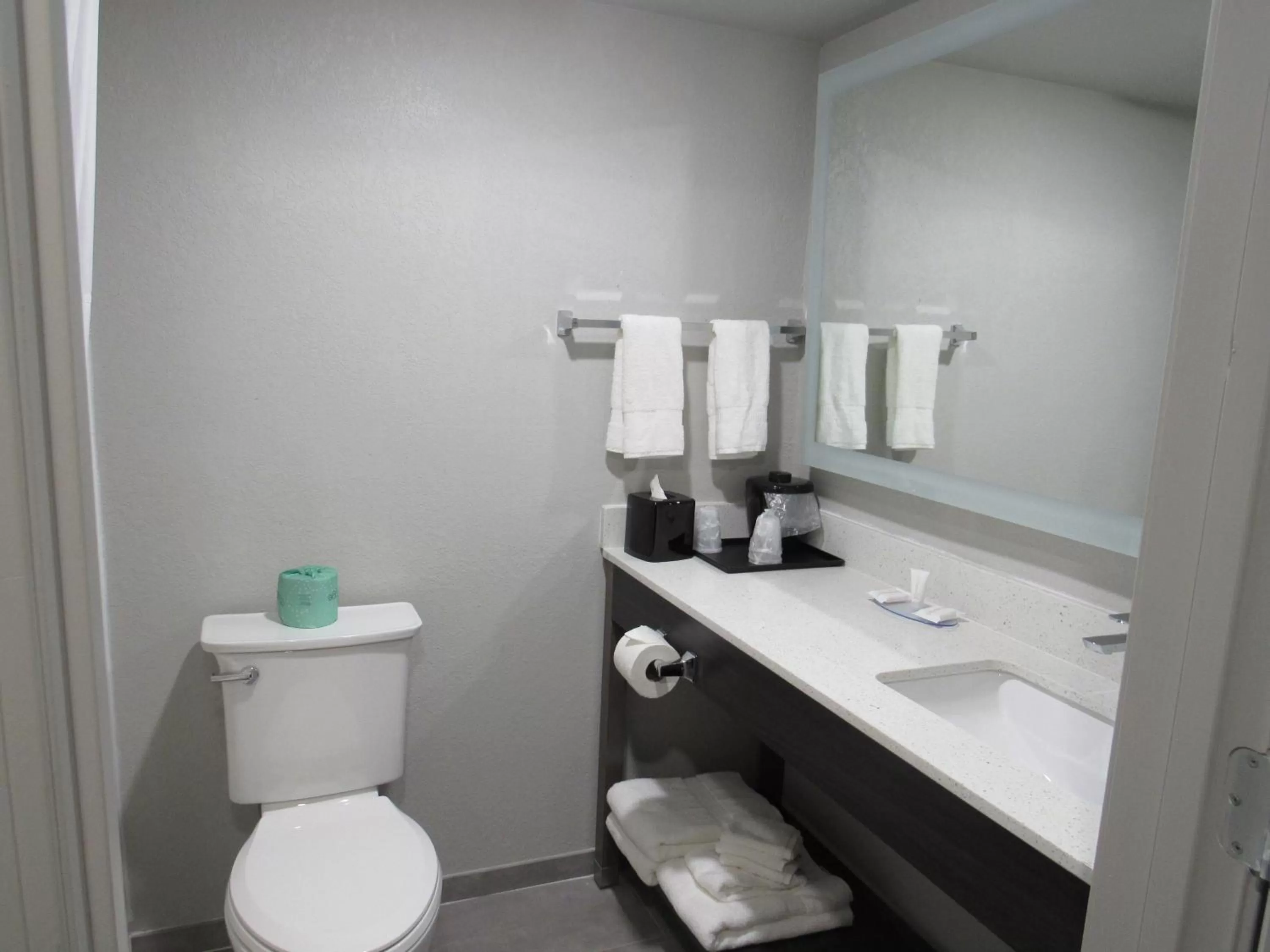 King Room - Non Smoking in Clarion Pointe McDonough