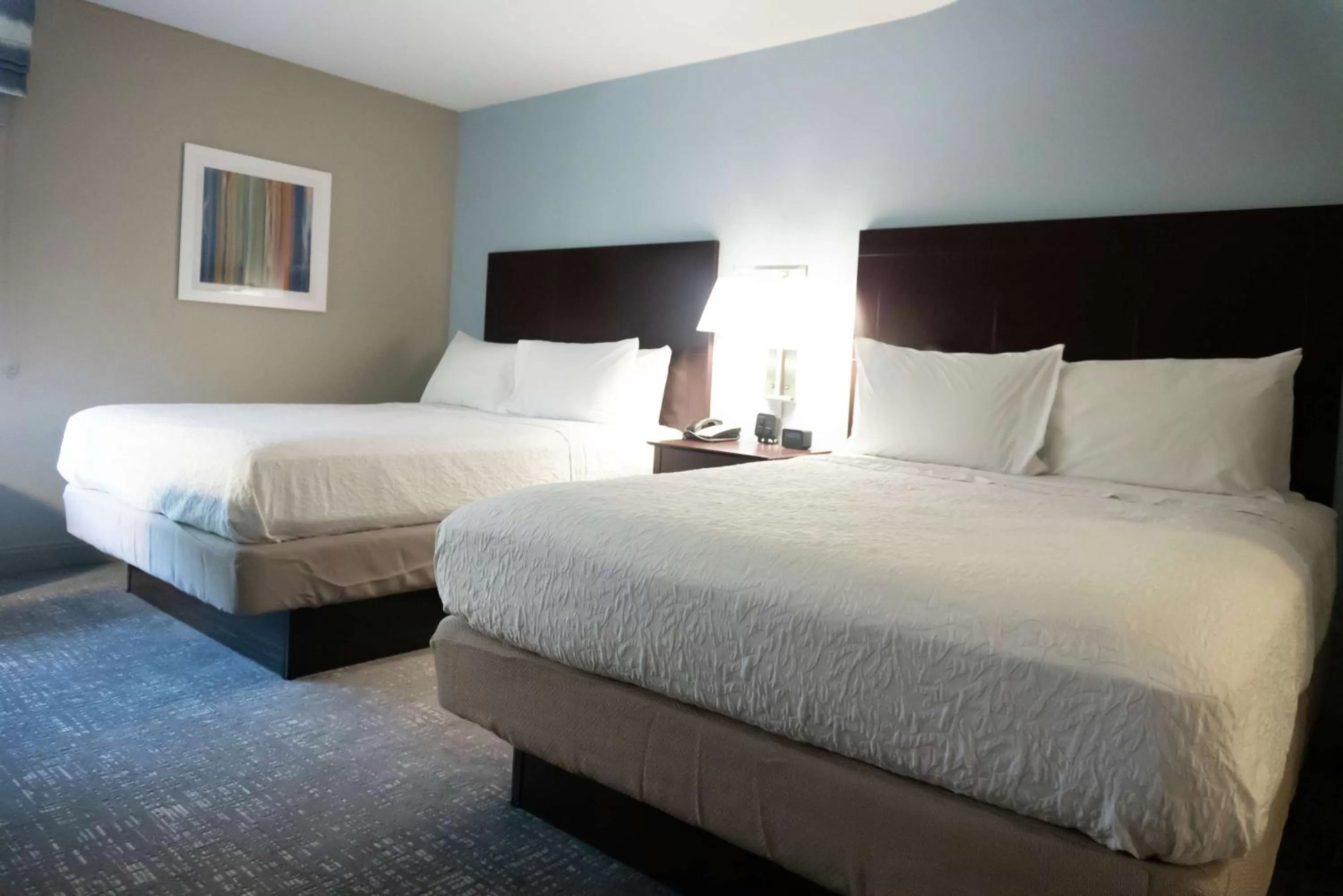 One-Bedroom Queen Suite - Non-Smoking in Hampton Inn Rock Hill