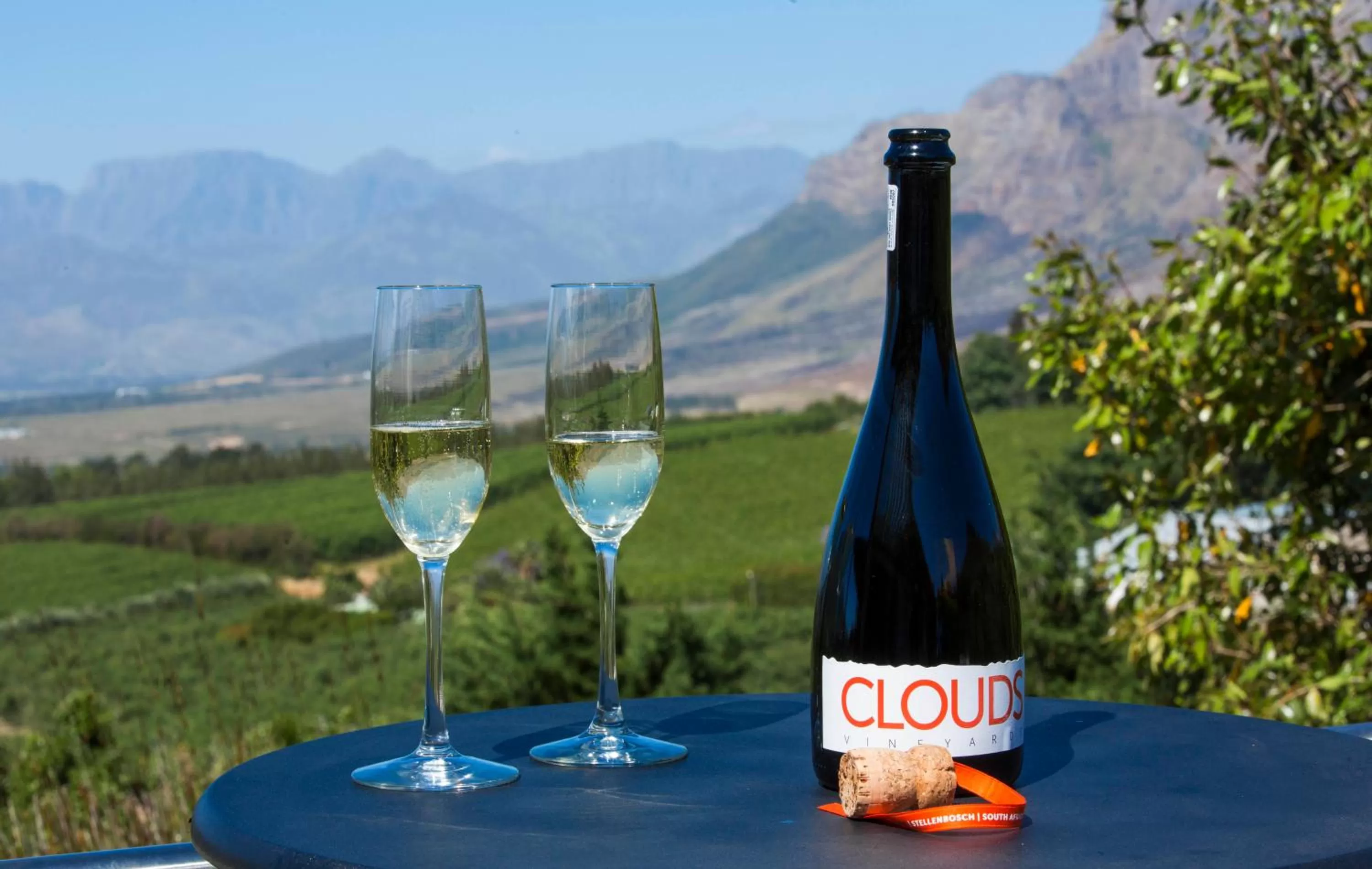 Two-Bedroom Villa in Clouds Estate