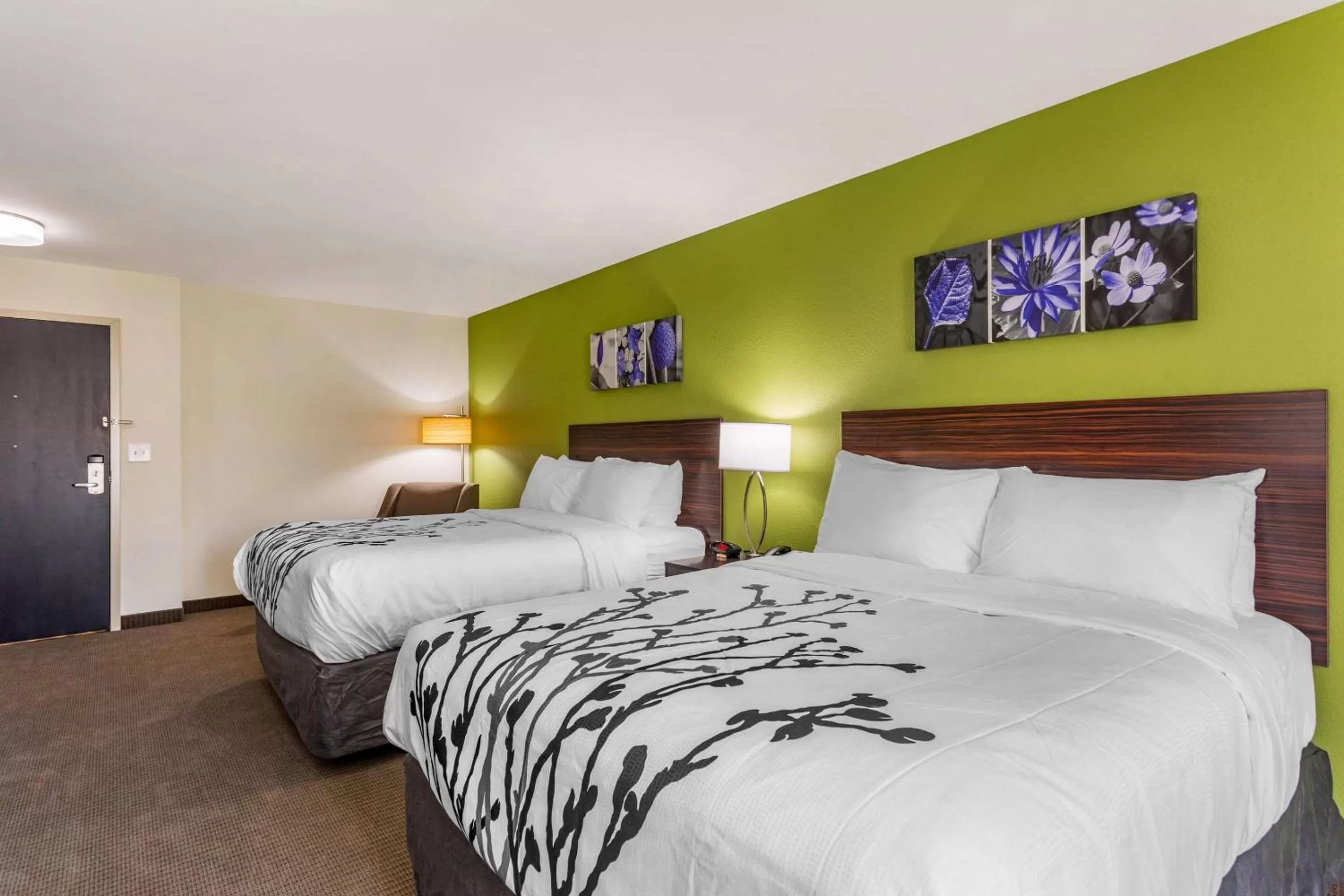 Queen Room with Two Queen Beds - Accessible/Non-Smoking  in Sleep Inn & Suites Gallatin - Nashville Metro