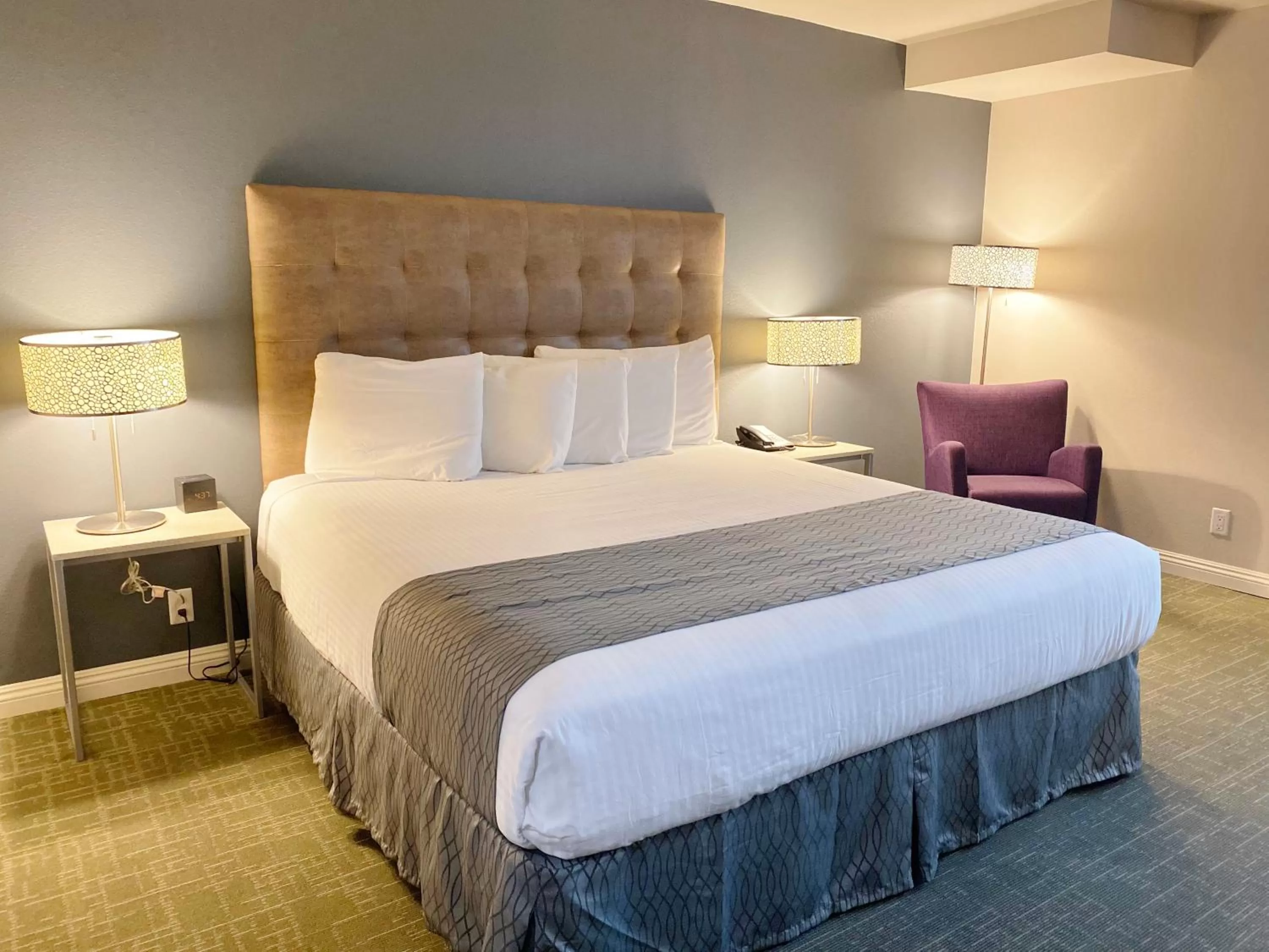 Standard King Room in Redac Gateway Hotel Torrance