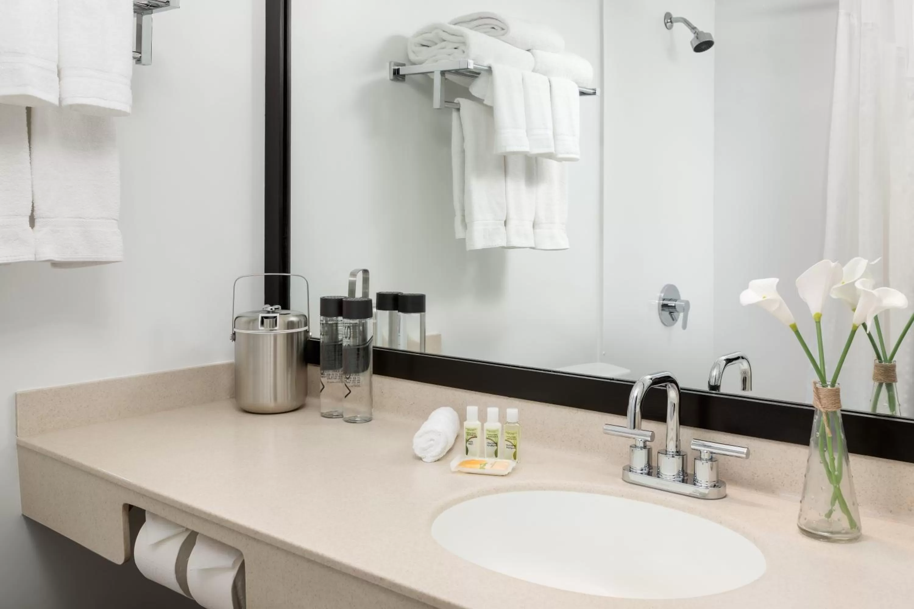 King Room - Disability Access in Studio Allston Hotel Boston