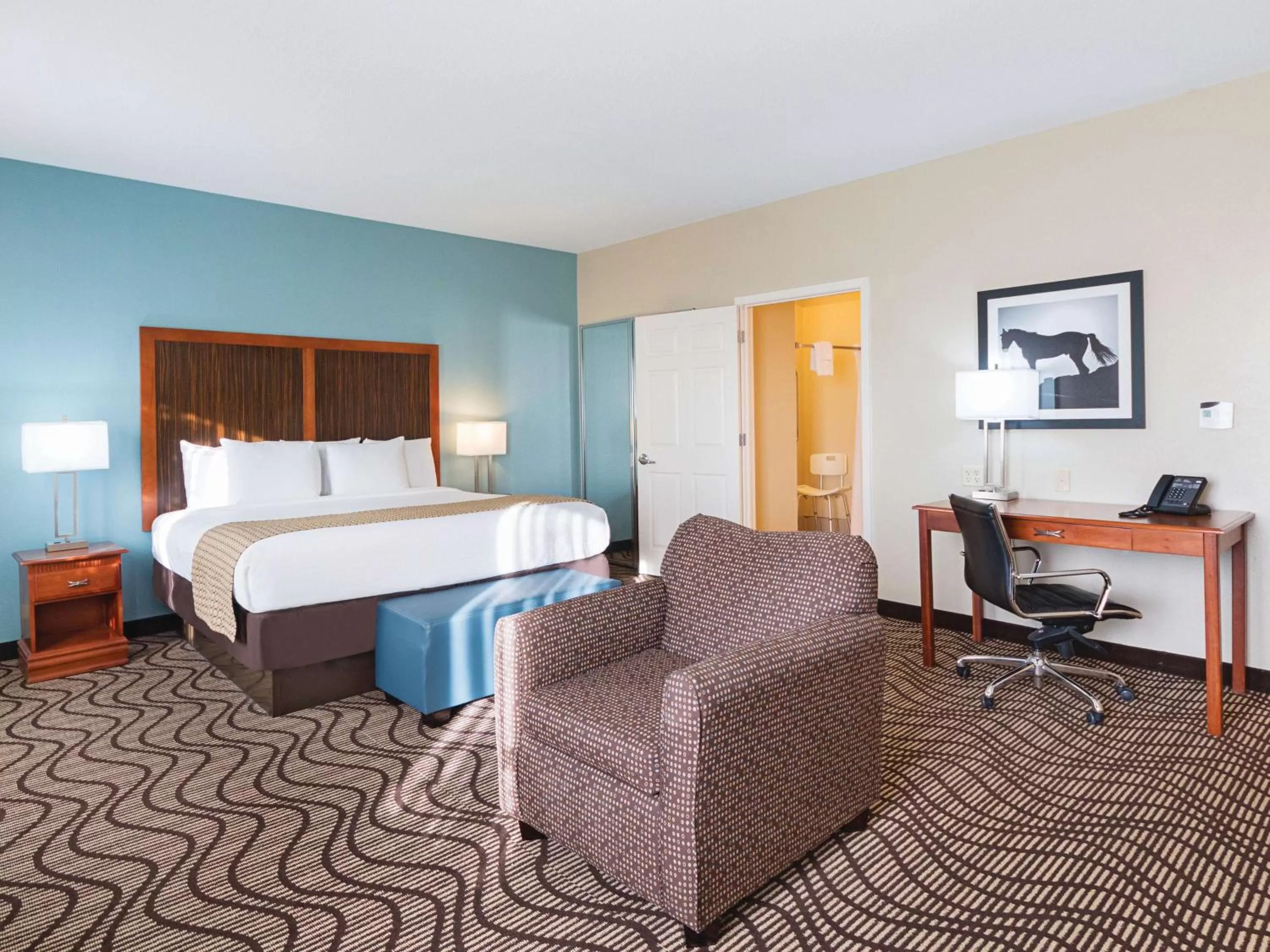 Deluxe King Room with Roll In Shower - Mobility/Hearing Accessible - Non-Smoking in La Quinta by Wyndham Mathis