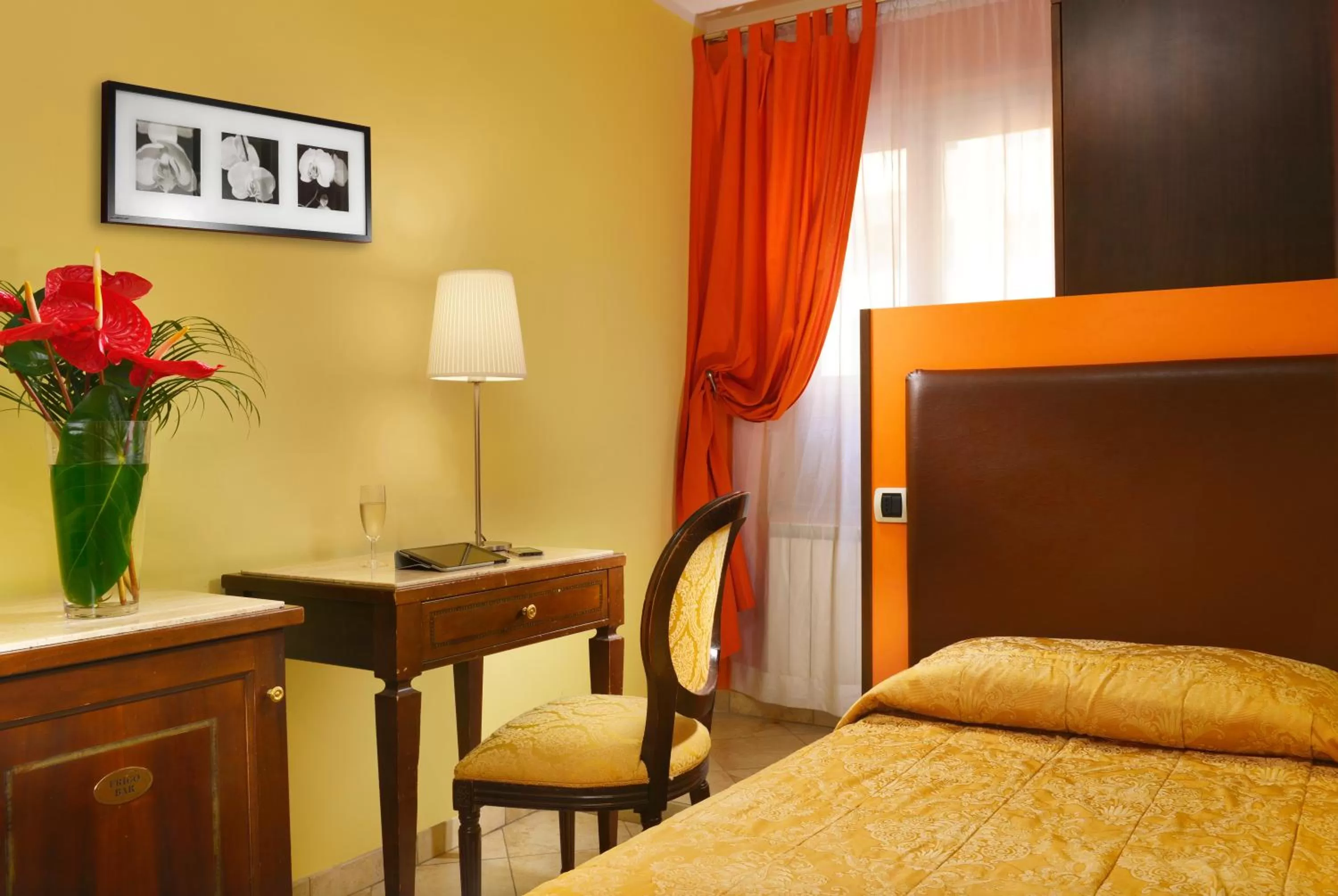 Single Room - single occupancy in Hotel Tuscolana
