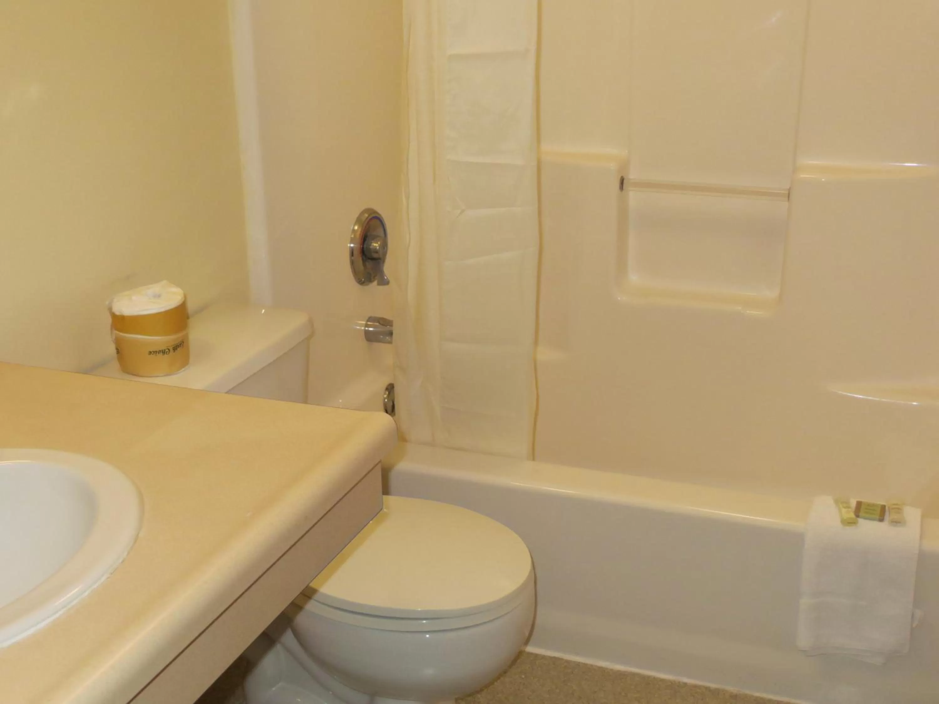 1 Queen and 2 Double Beds, Studio Suite, Non-Smoking in Super 8 by Wyndham Hastings