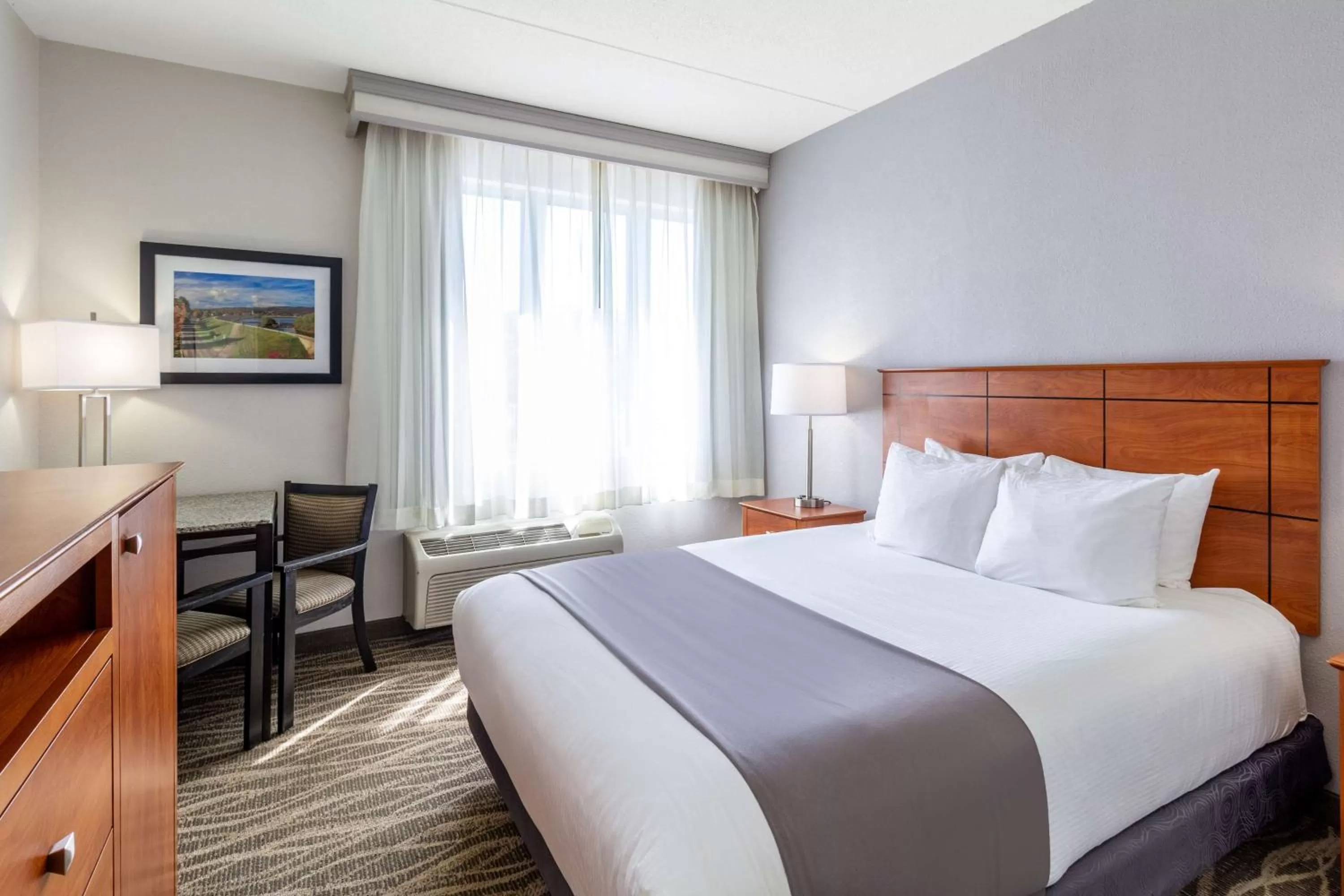 Queen Room - Non-Smoking in Best Western Lock Haven