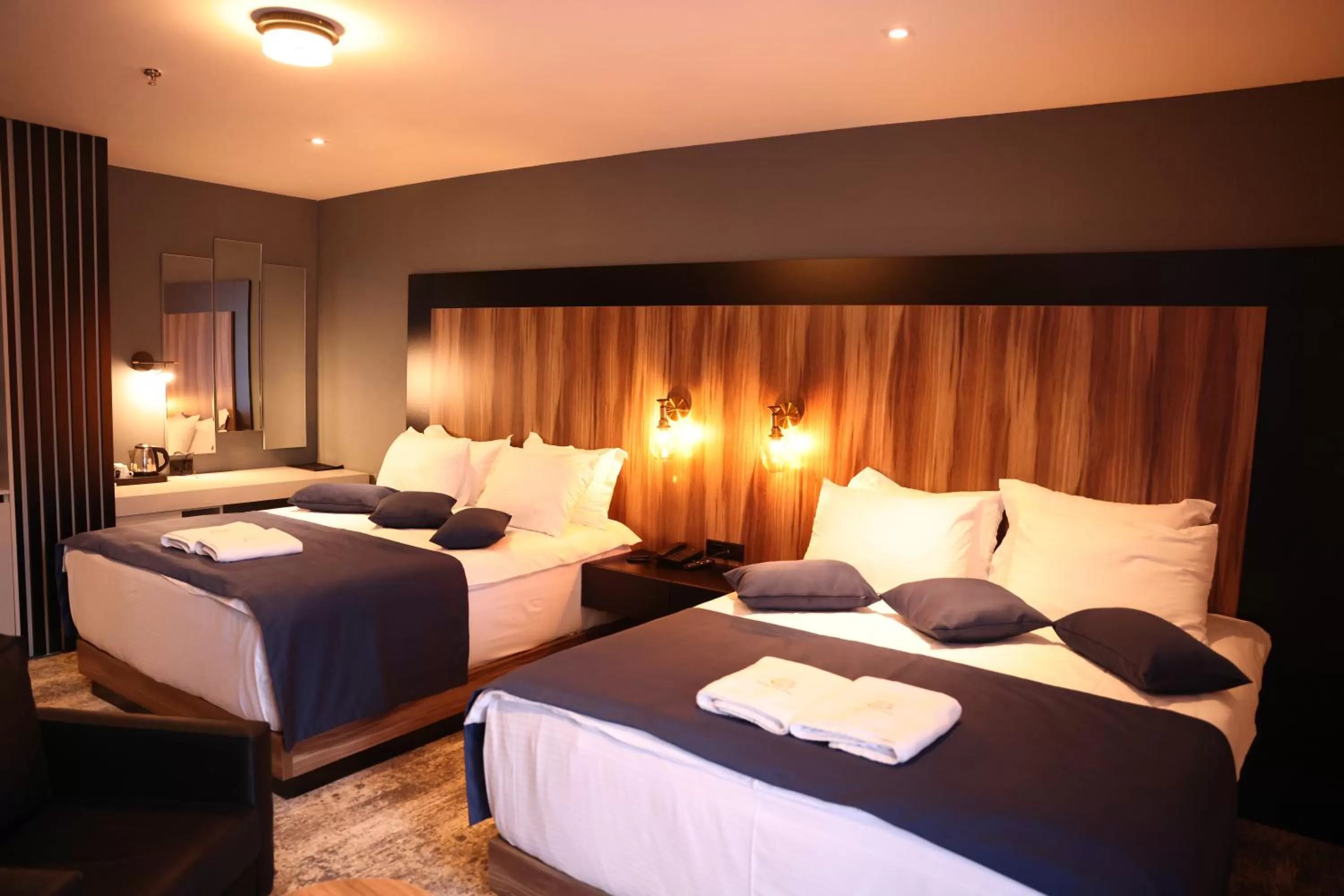 Twin Room in Palace Hotel & SPA