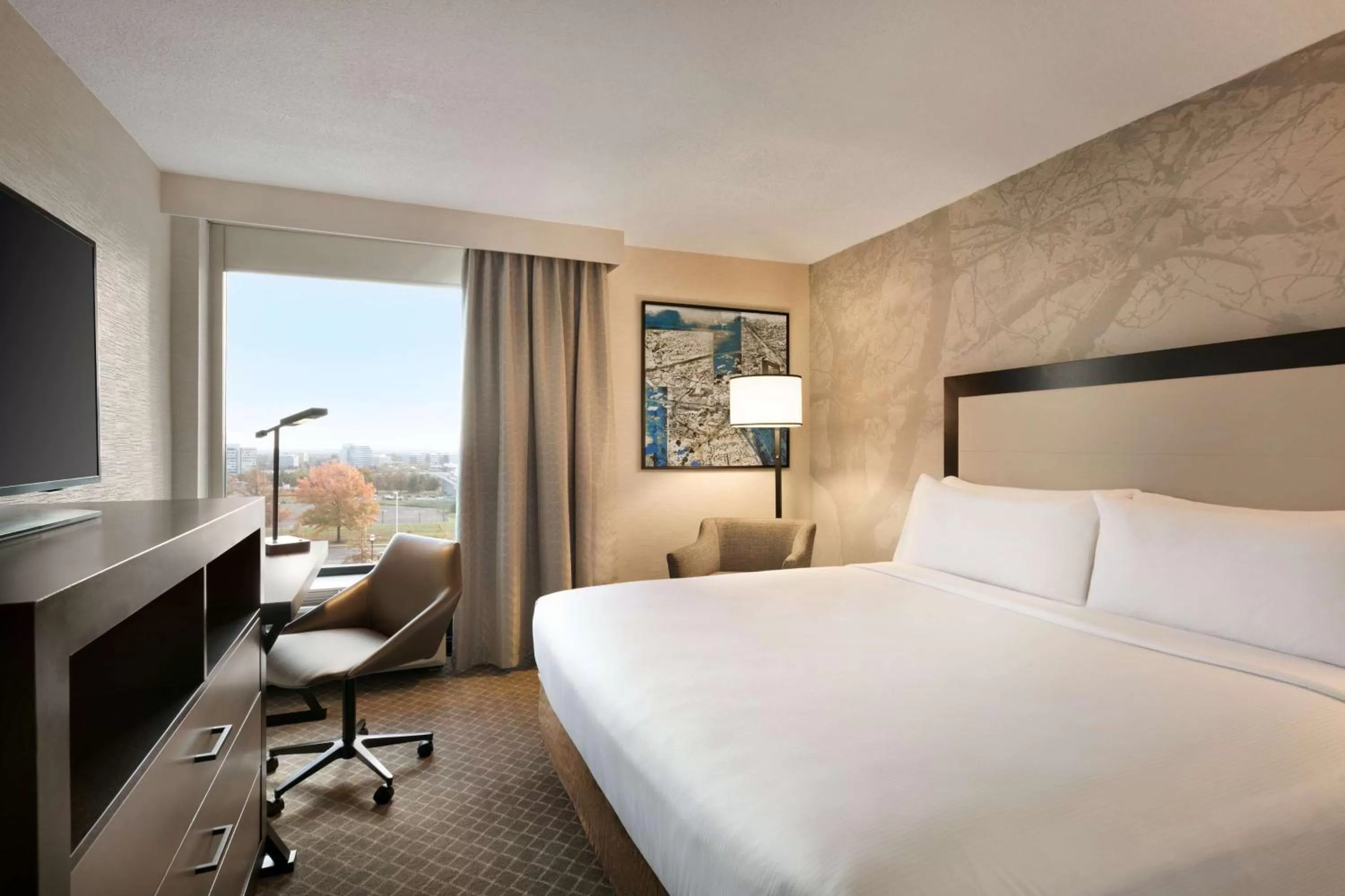 Double Room in DoubleTree by Hilton McLean Tysons