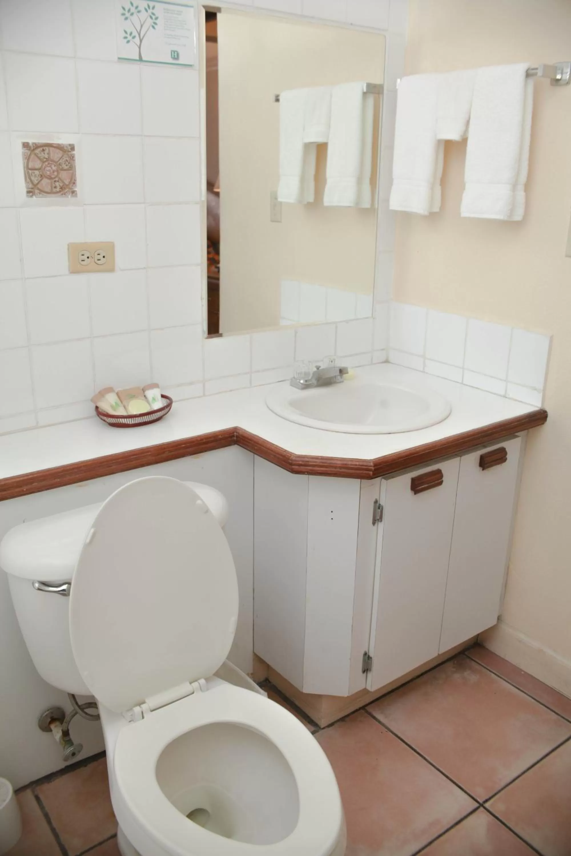 Executive King Room in Heritage Hotel