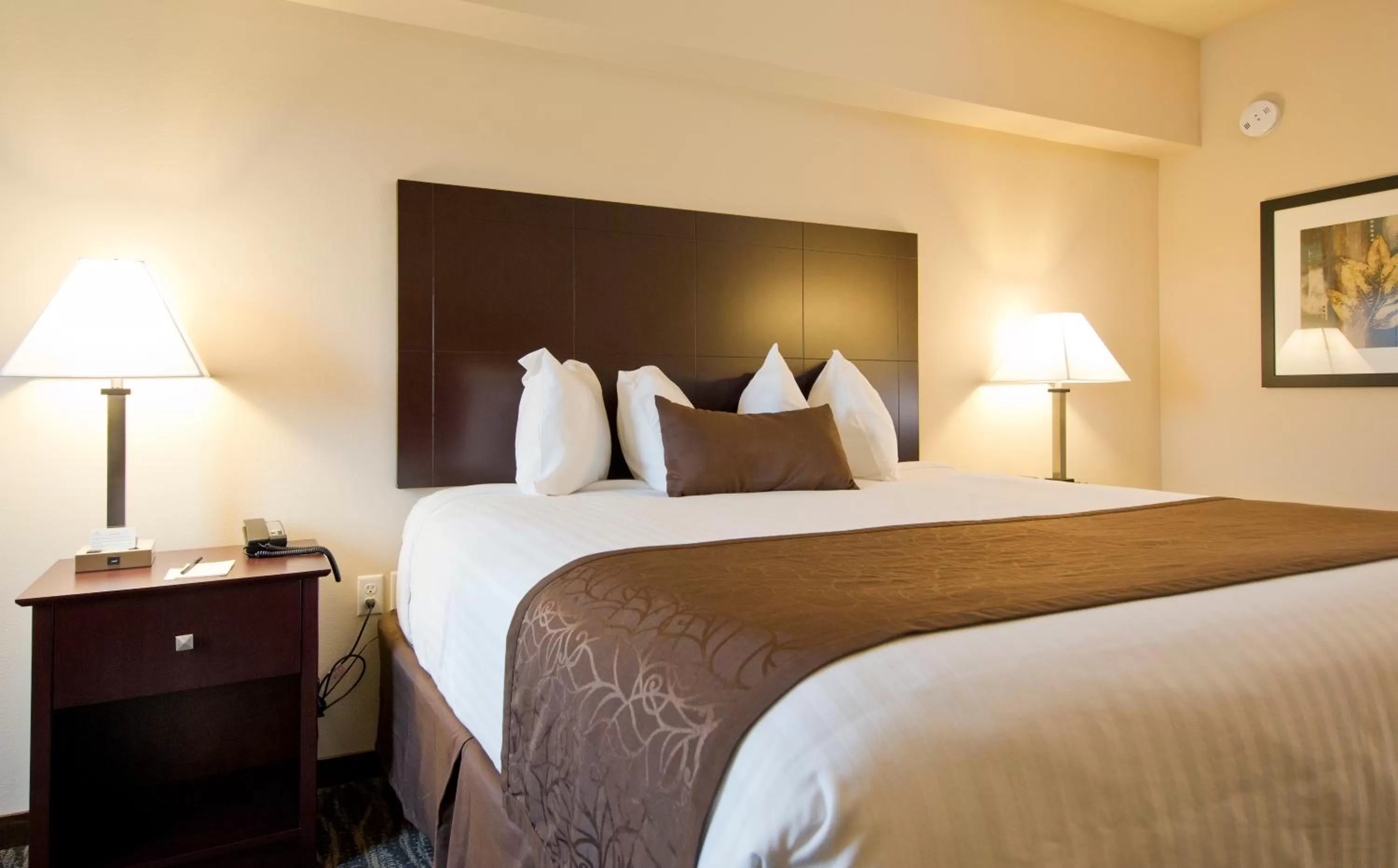 King Room in Cobblestone Inn & Suites - Boone