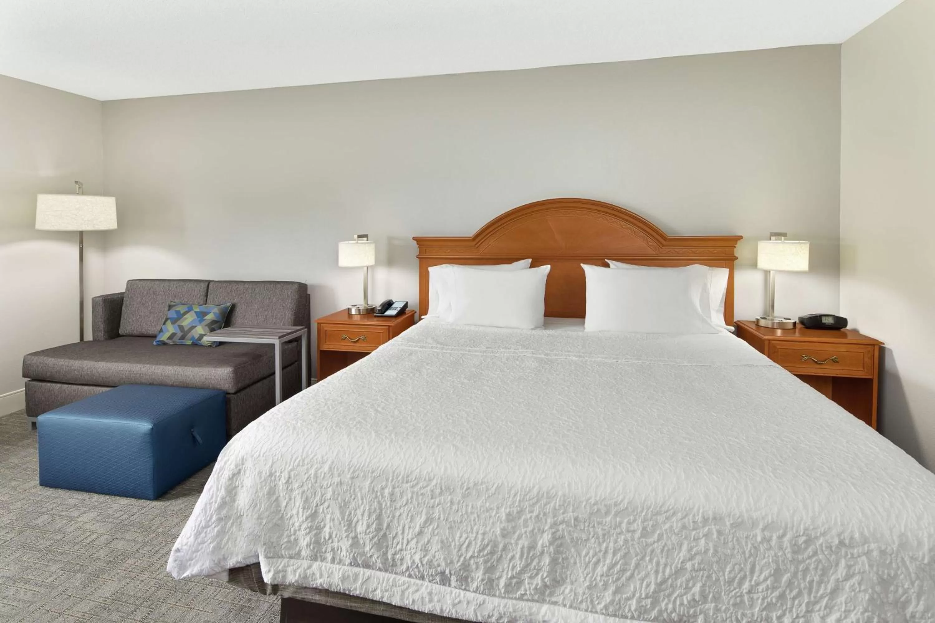 King Room with King Bed - Non-Smoking in Hampton Inn Atlanta-Newnan