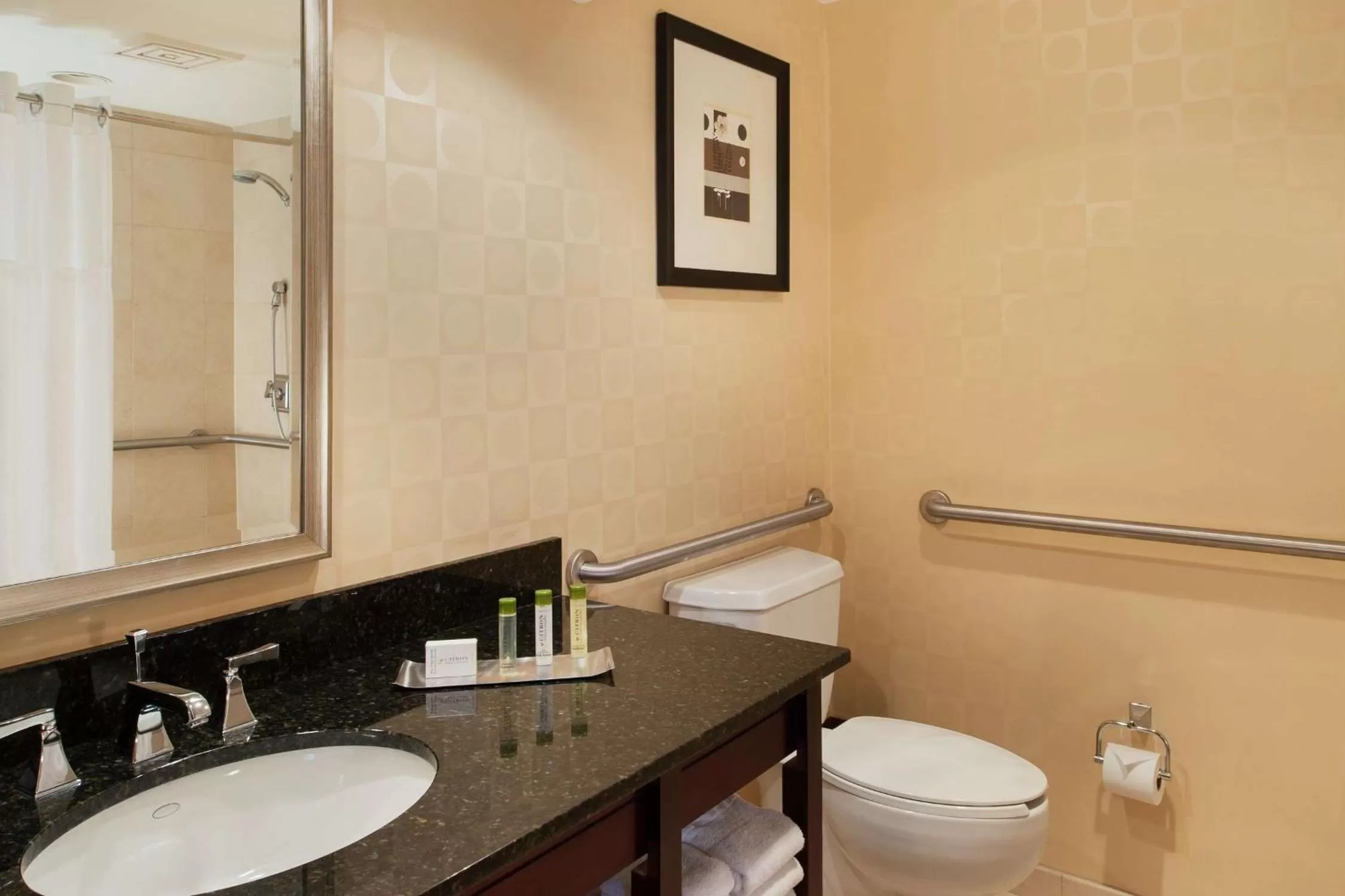 Queen Room with Two Queen Beds and Bath Tub - Mobility Accessible/Non-Smoking in DoubleTree by Hilton Hotel & Executive Meeting Center Omaha-Downtown