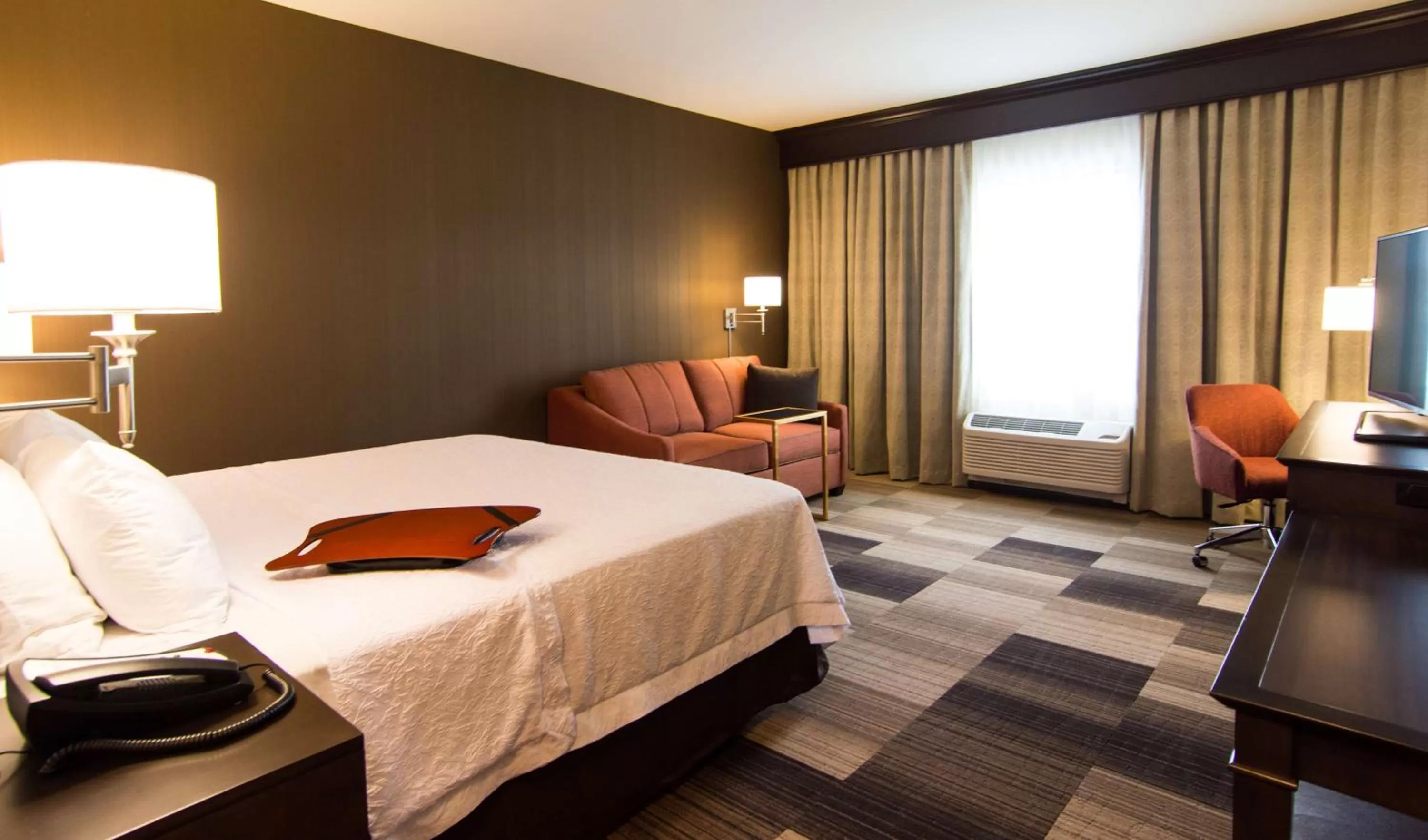 King Room with Sofa Bed - Non-Smoking in Hampton Inn Orange City