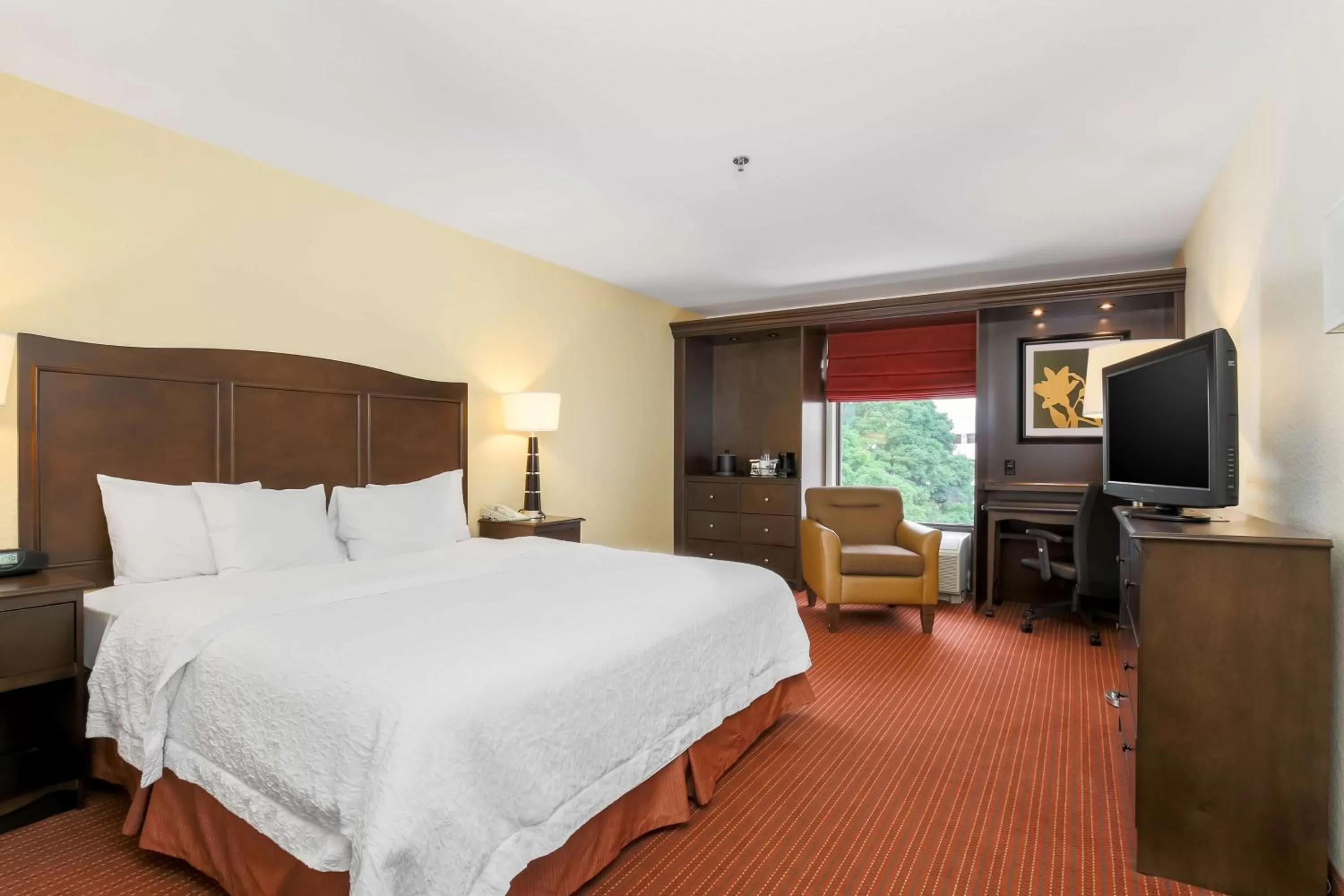 King Room - Mobility Access/Non-Smoking in Hampton Inn Champaign/Urbana