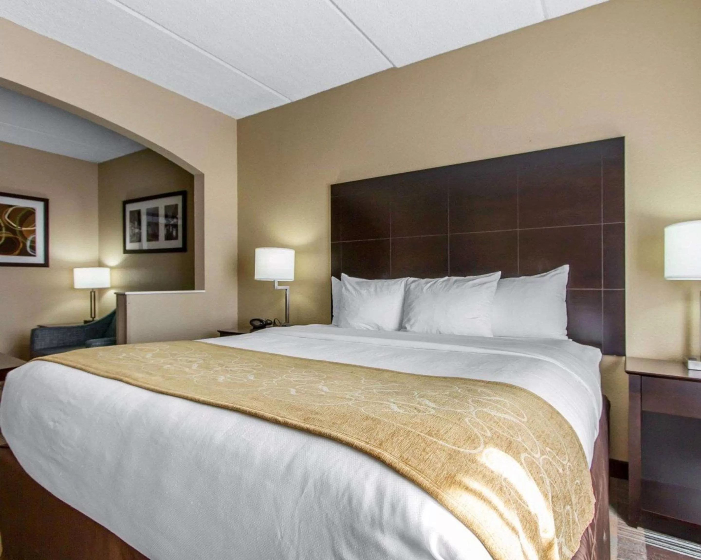 King Suite - Non-Smoking in Comfort Suites Airport