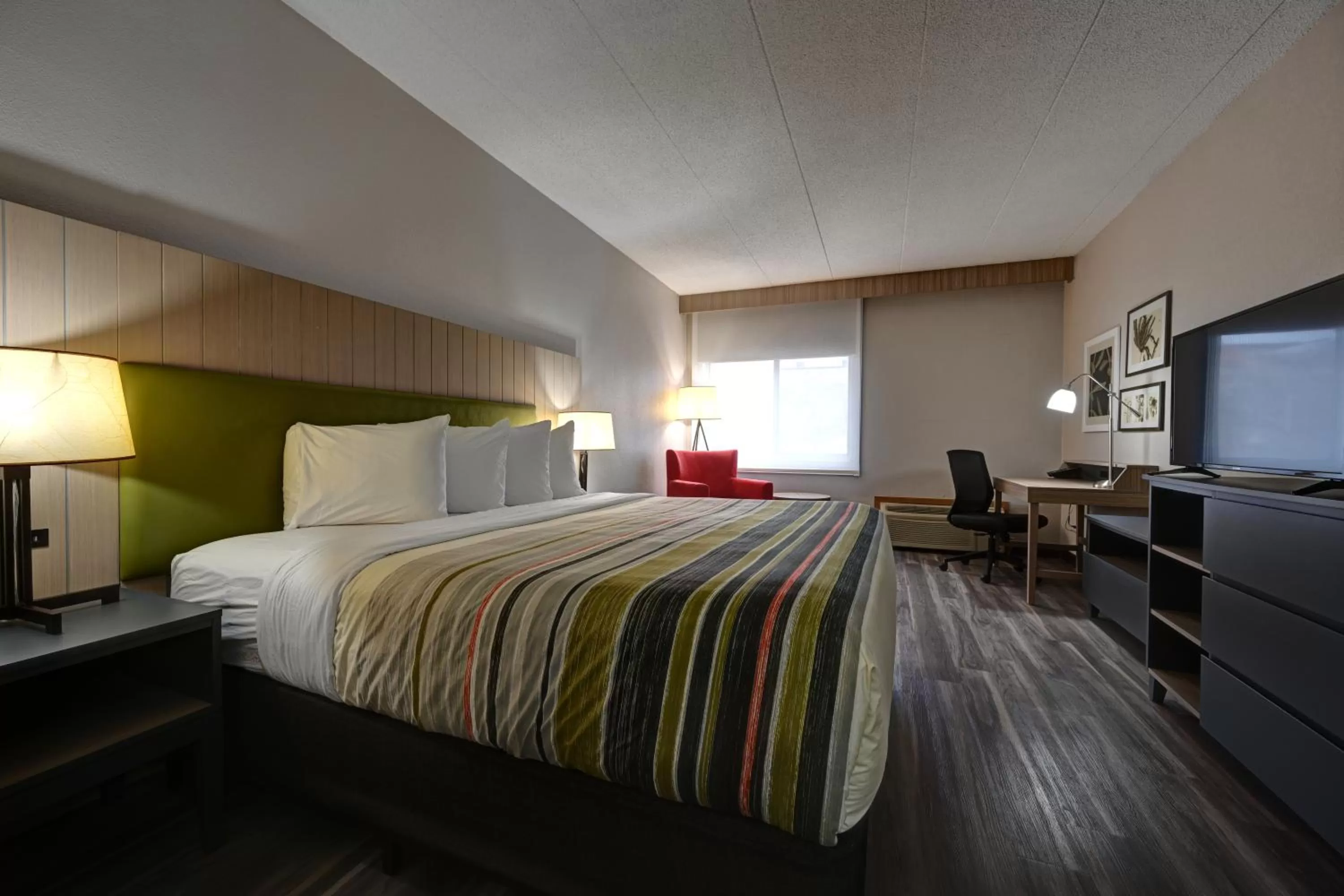 Standard King Room in Country Inn & Suites by Radisson, Pierre, SD