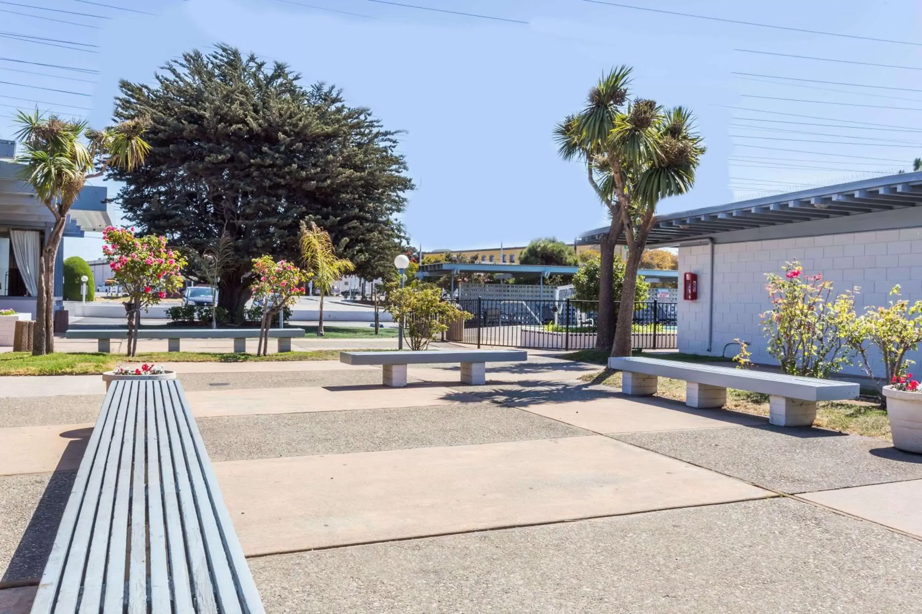 Travelodge by Wyndham San Francisco Airport North Travelodge by Wyndham San Francisco Airport North