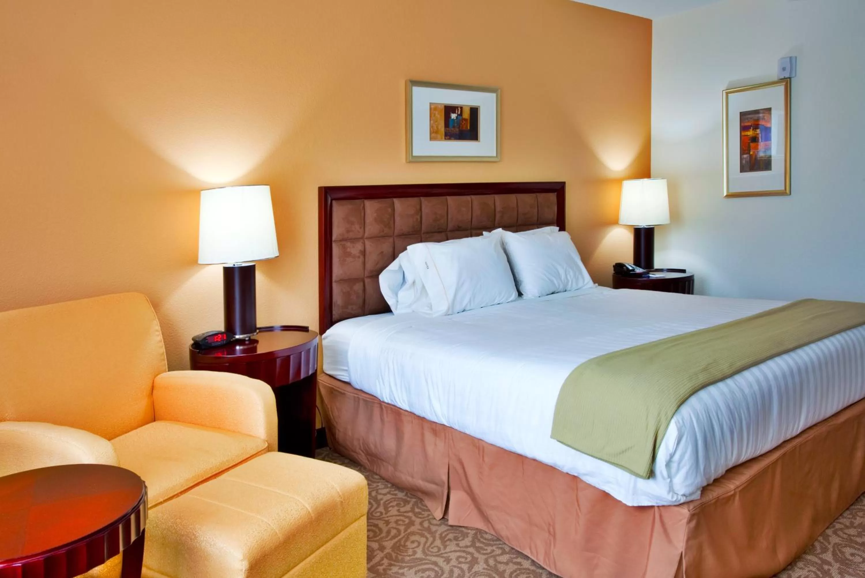 Standard King Room in Holiday Inn Express Hotel & Suites Brooksville-I-75 by IHG