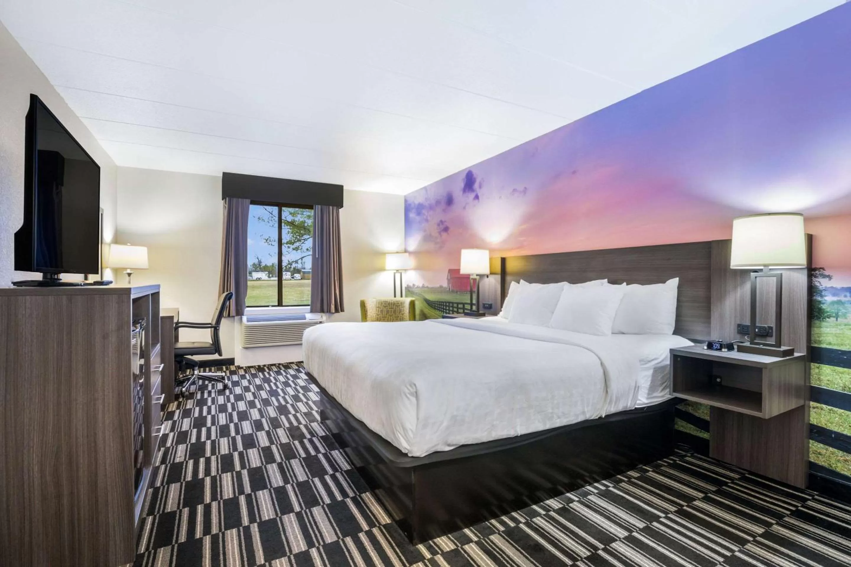 King Room - Non-Smoking in Clarion Pointe Richmond North near University