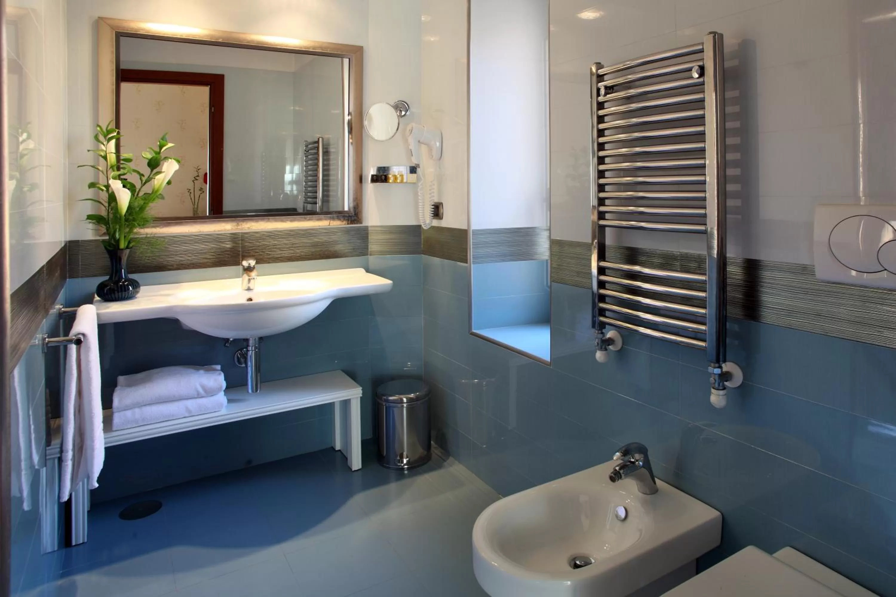 Double or Twin Room in Hotel Serena srl