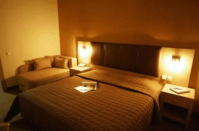 Double or Twin Room in Orpheus Hotel