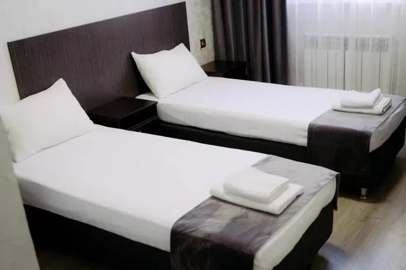 Standard Twin Room in Rush Hotel