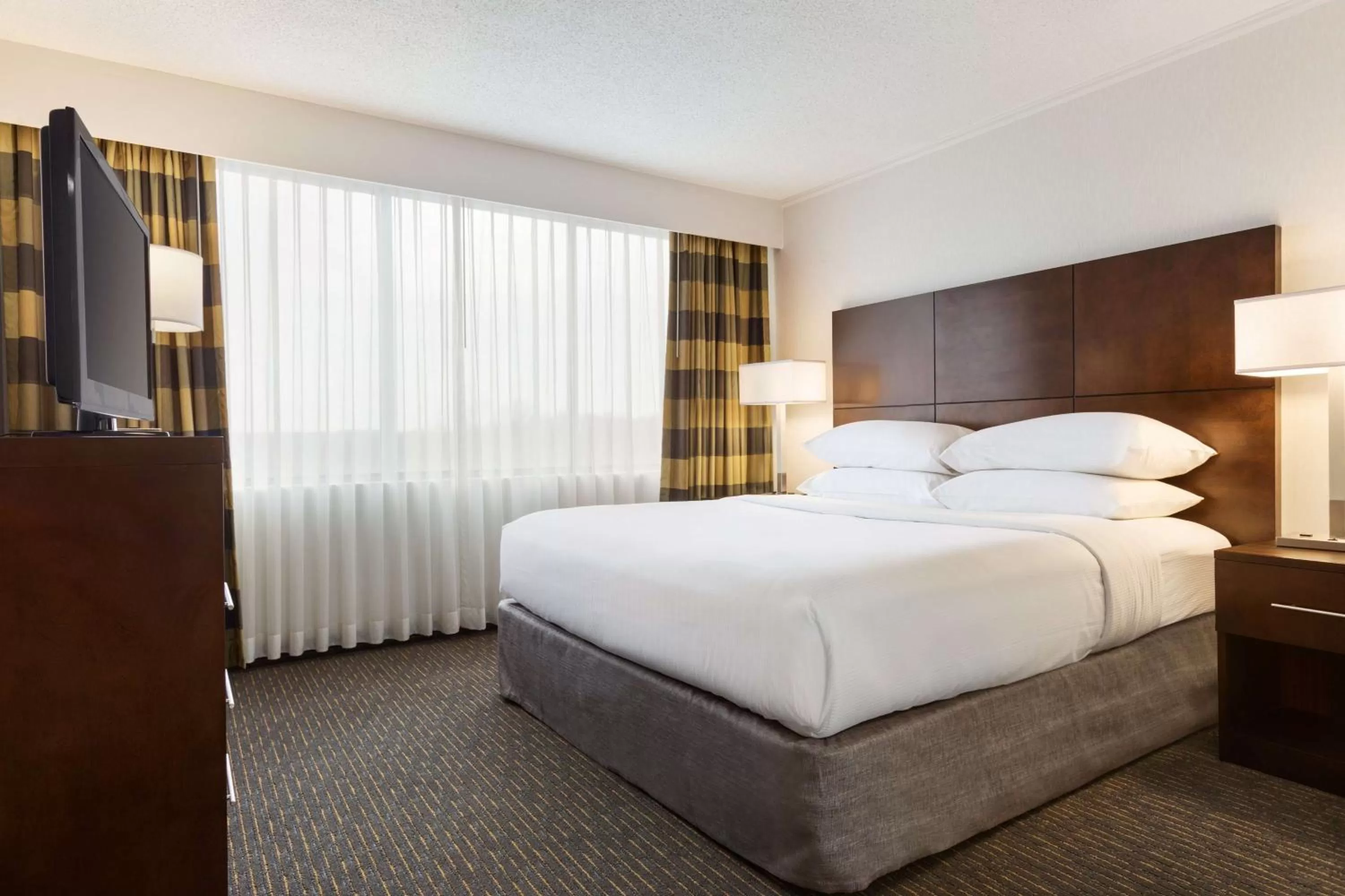 King Suite with Roll-In Shower - Mobility/Hearing Accessible - Non-Smoking in Embassy Suites by Hilton Baltimore at BWI Airport